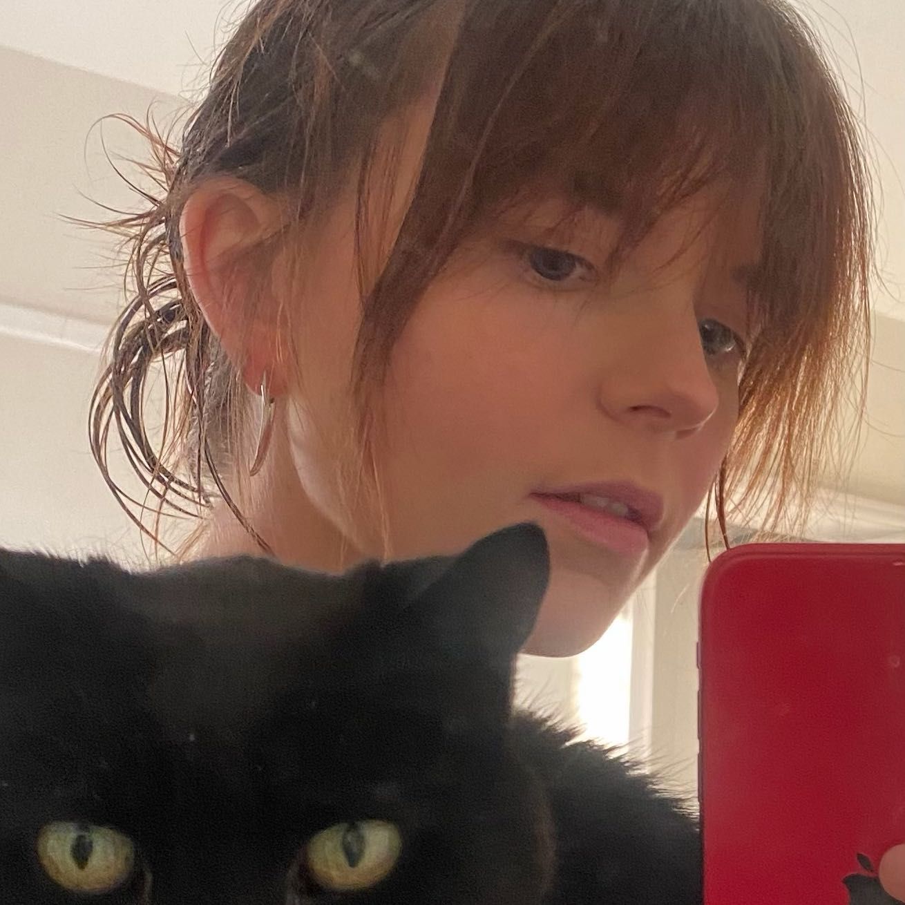 Issy
