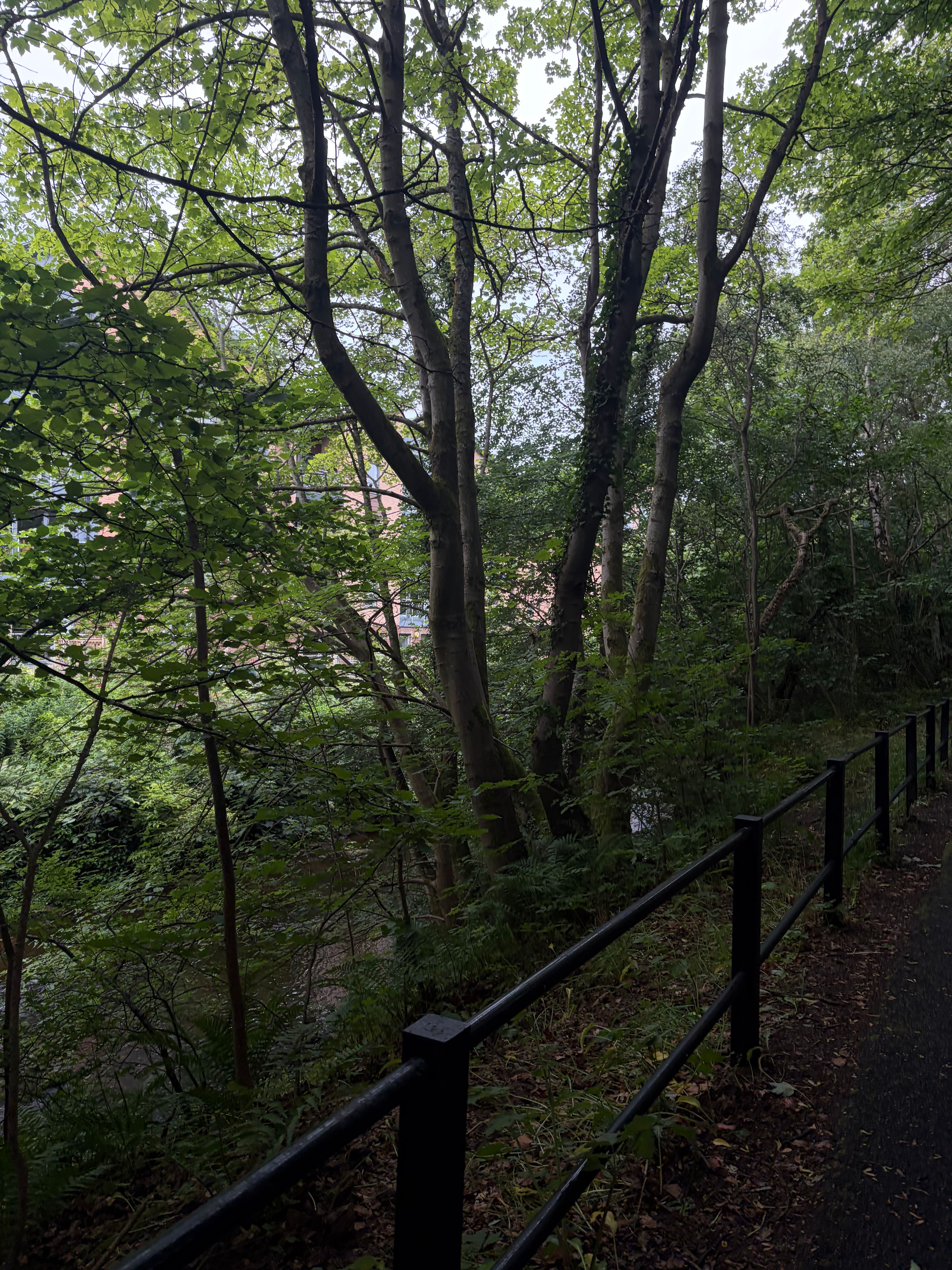 image-10