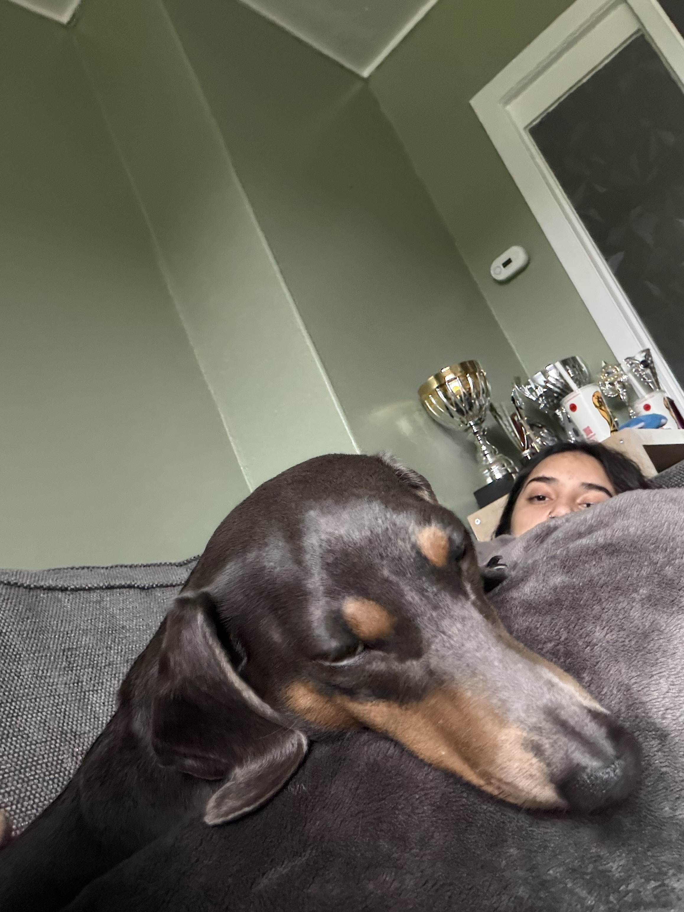 image-4