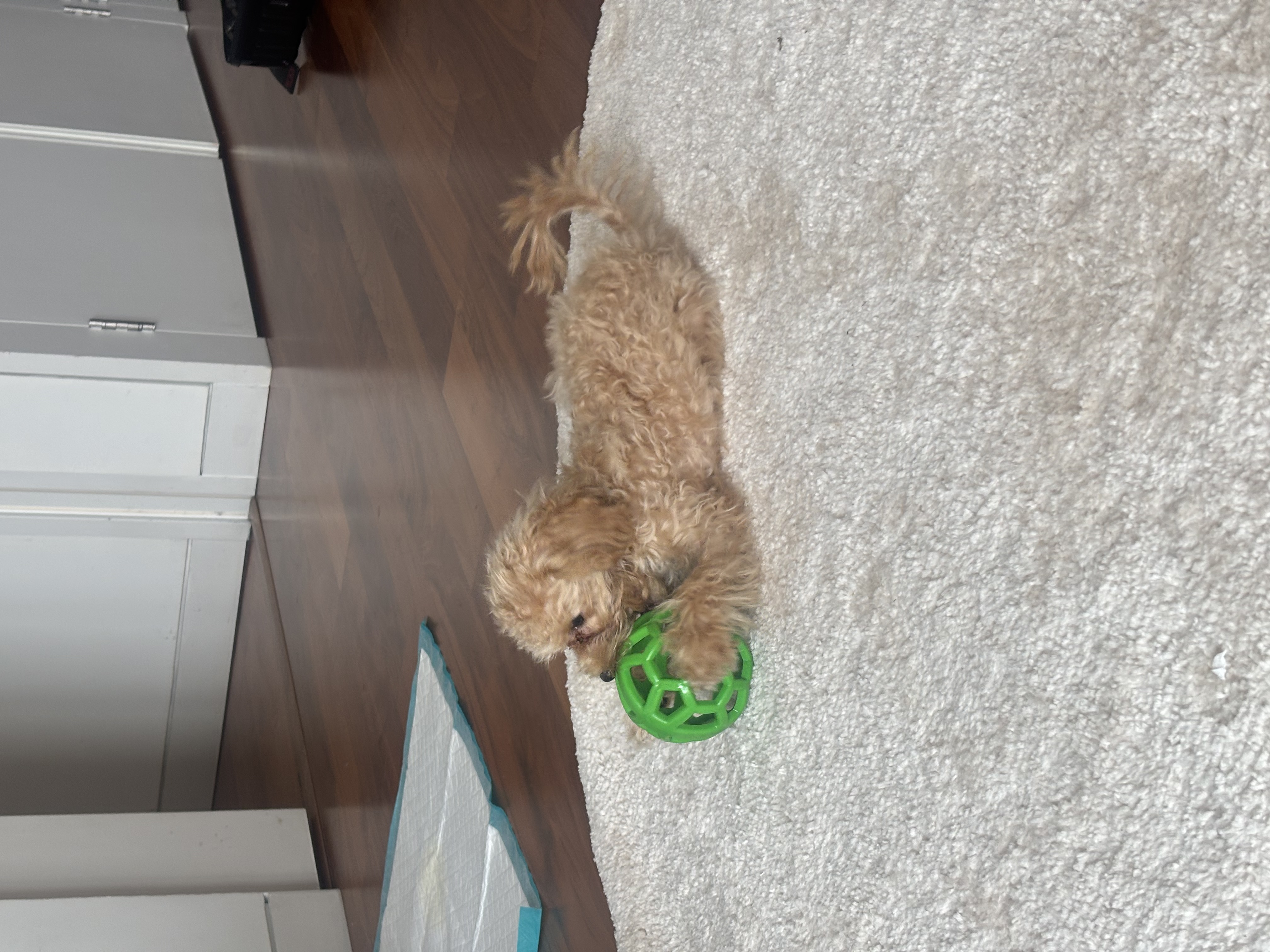 image-6