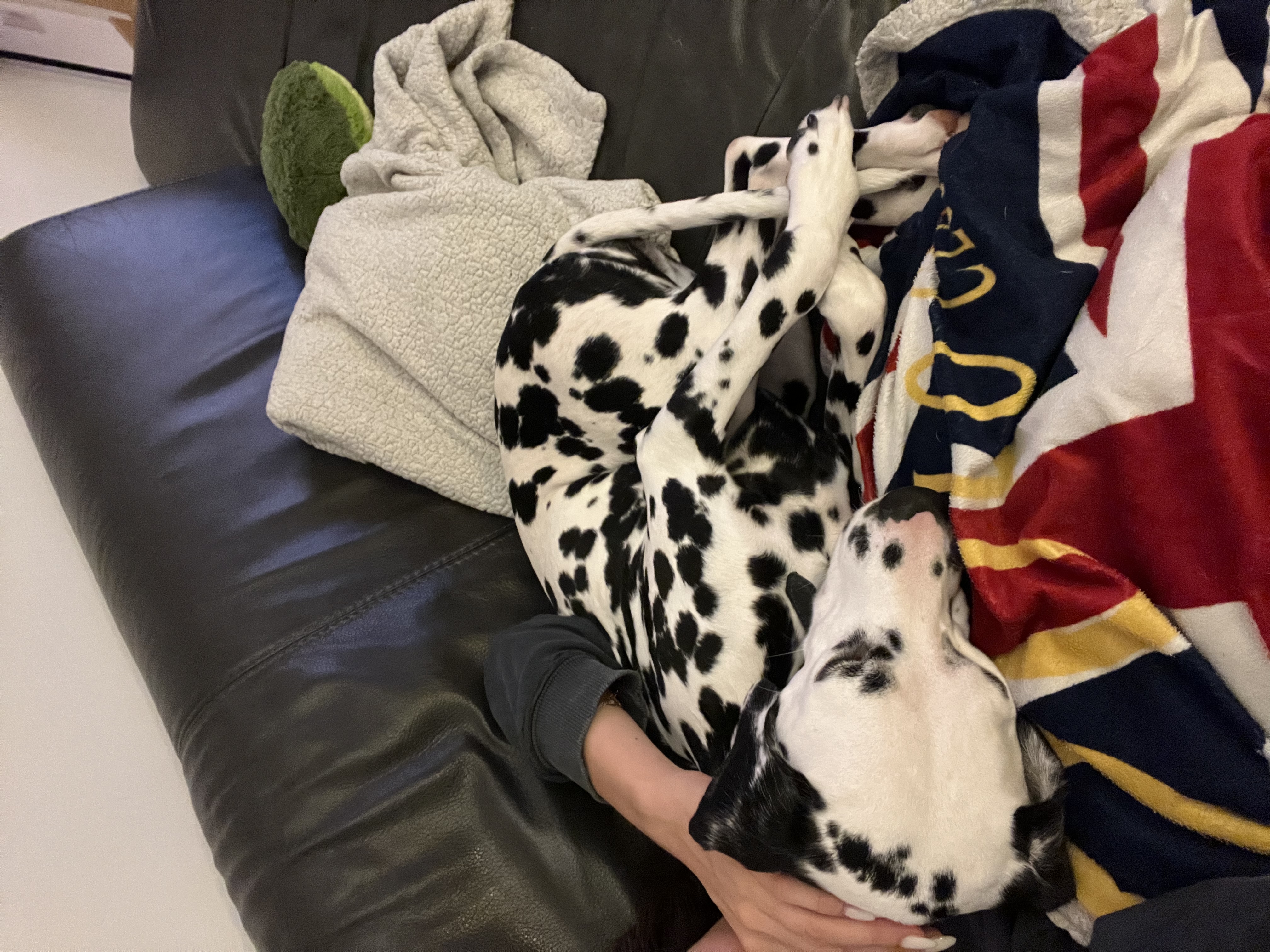 image-10