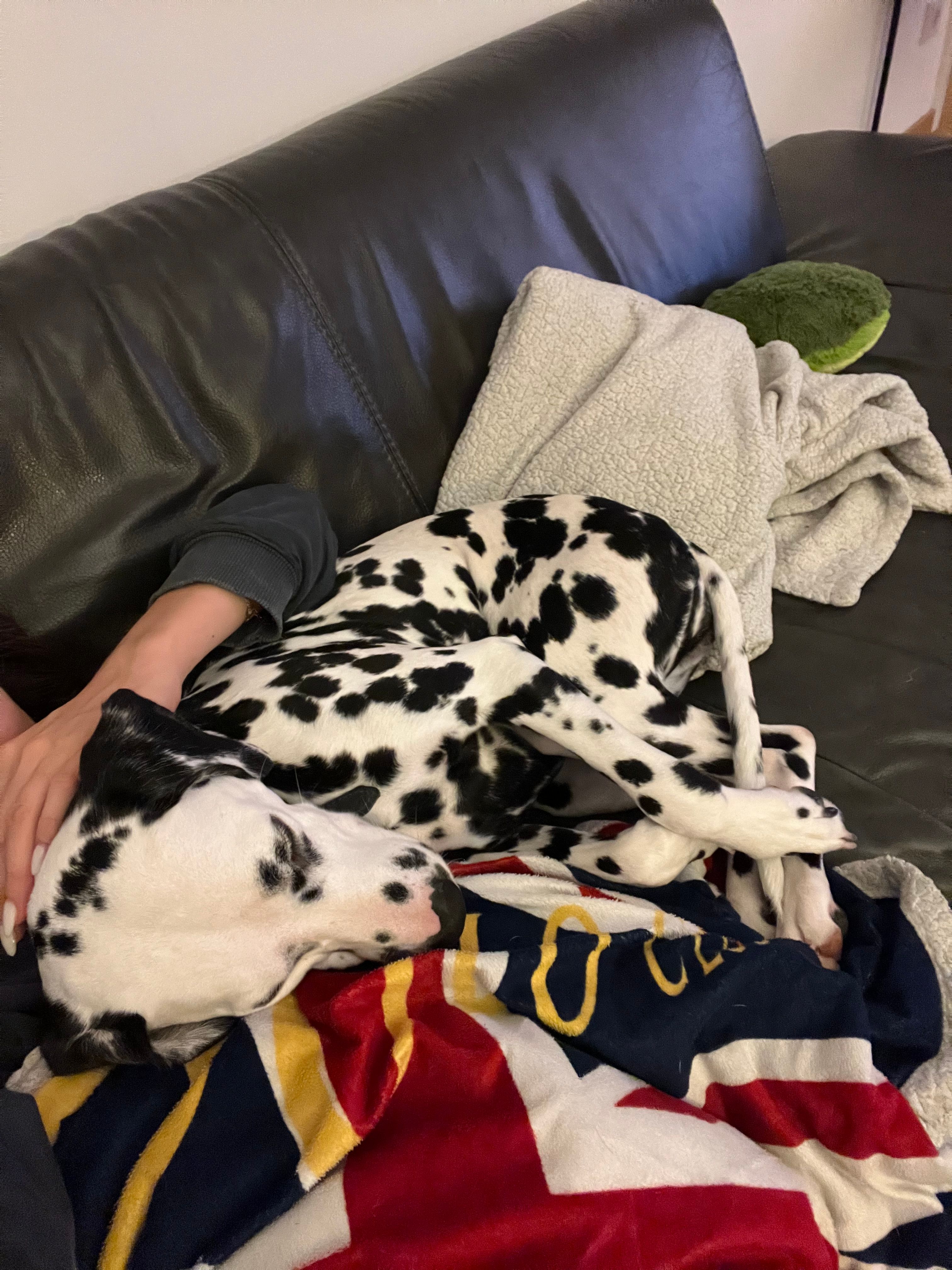 image-10