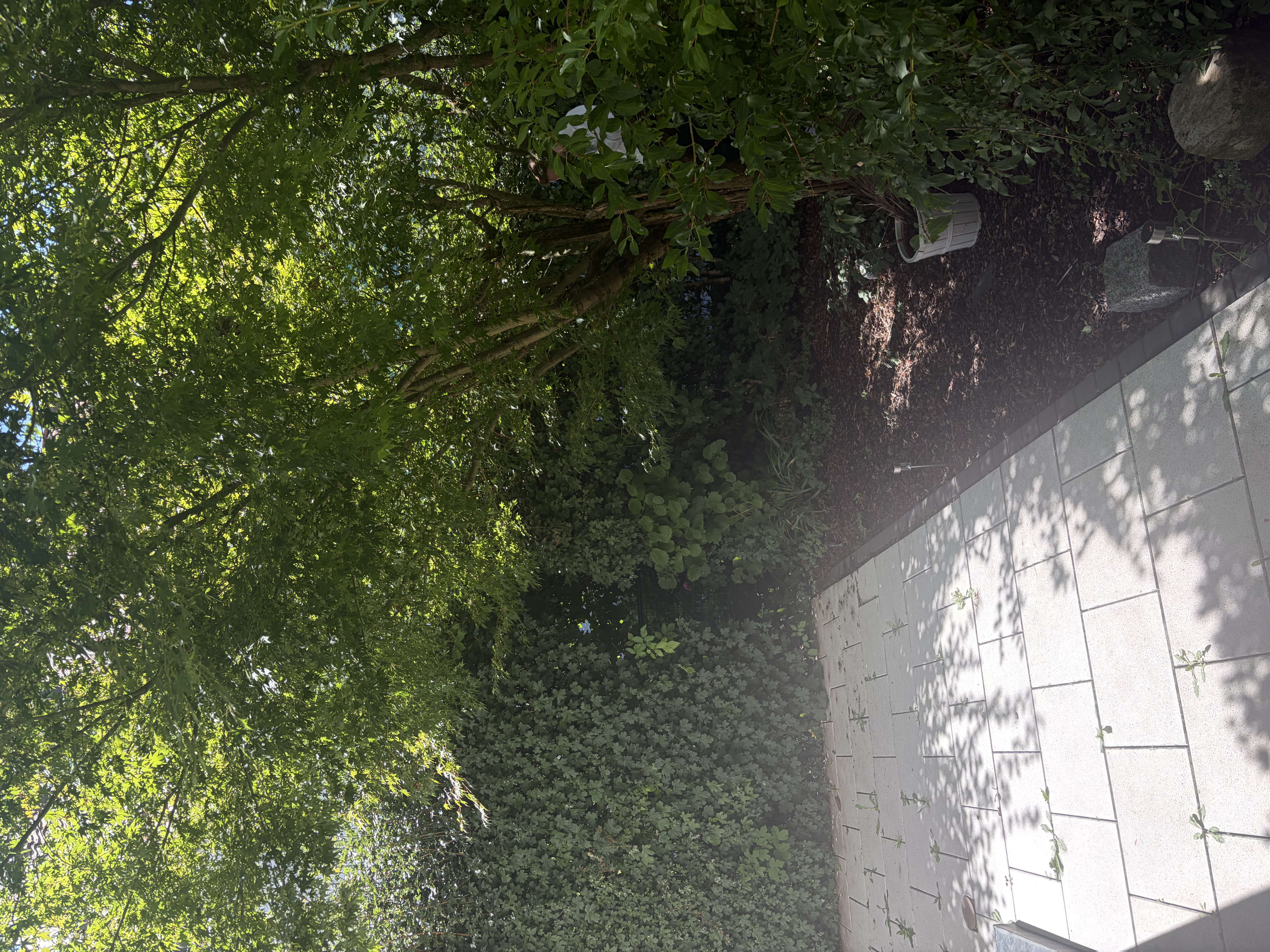 image-17
