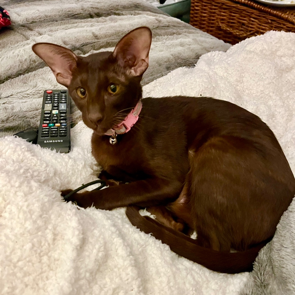 Samantha