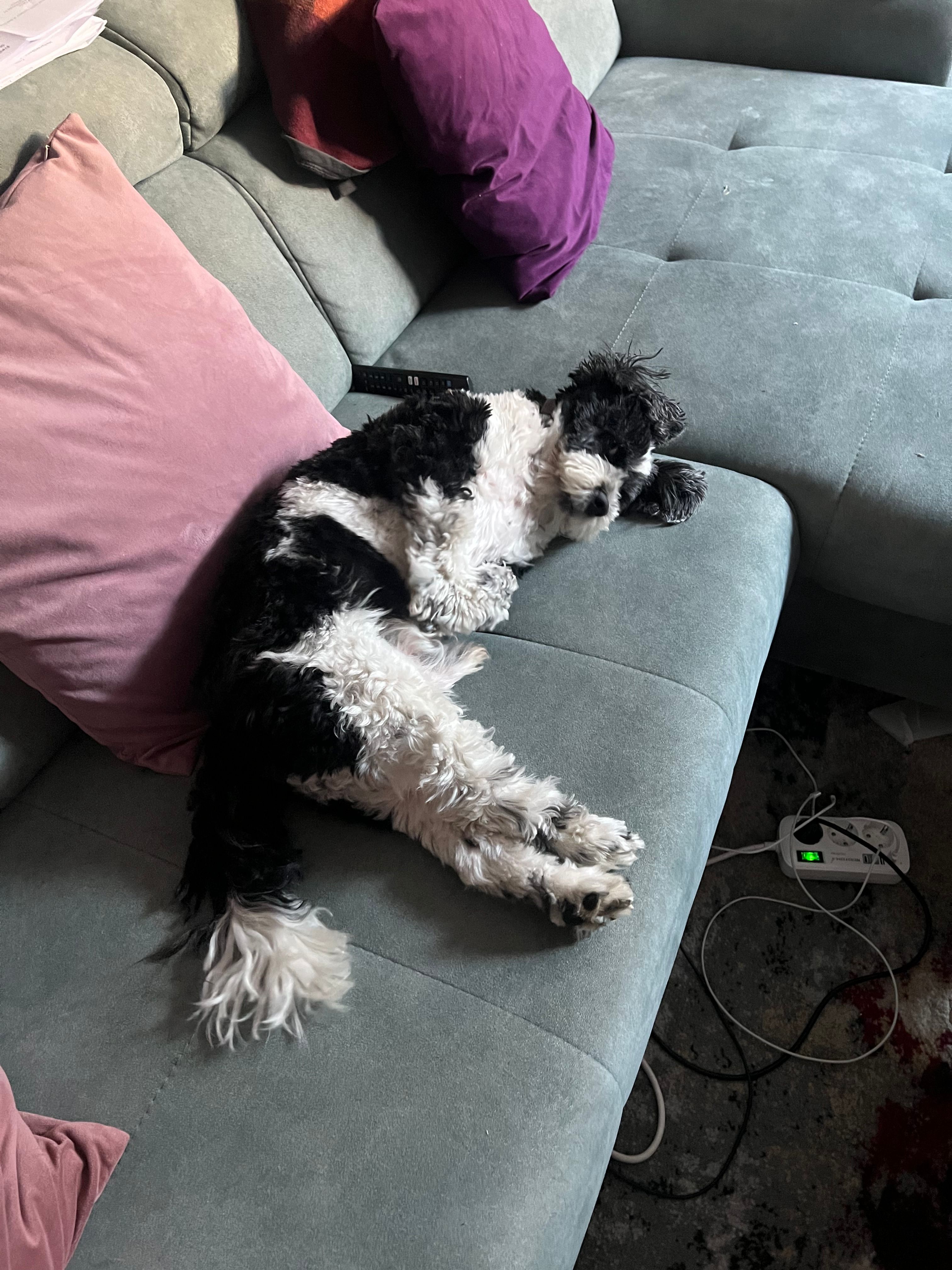 image-12