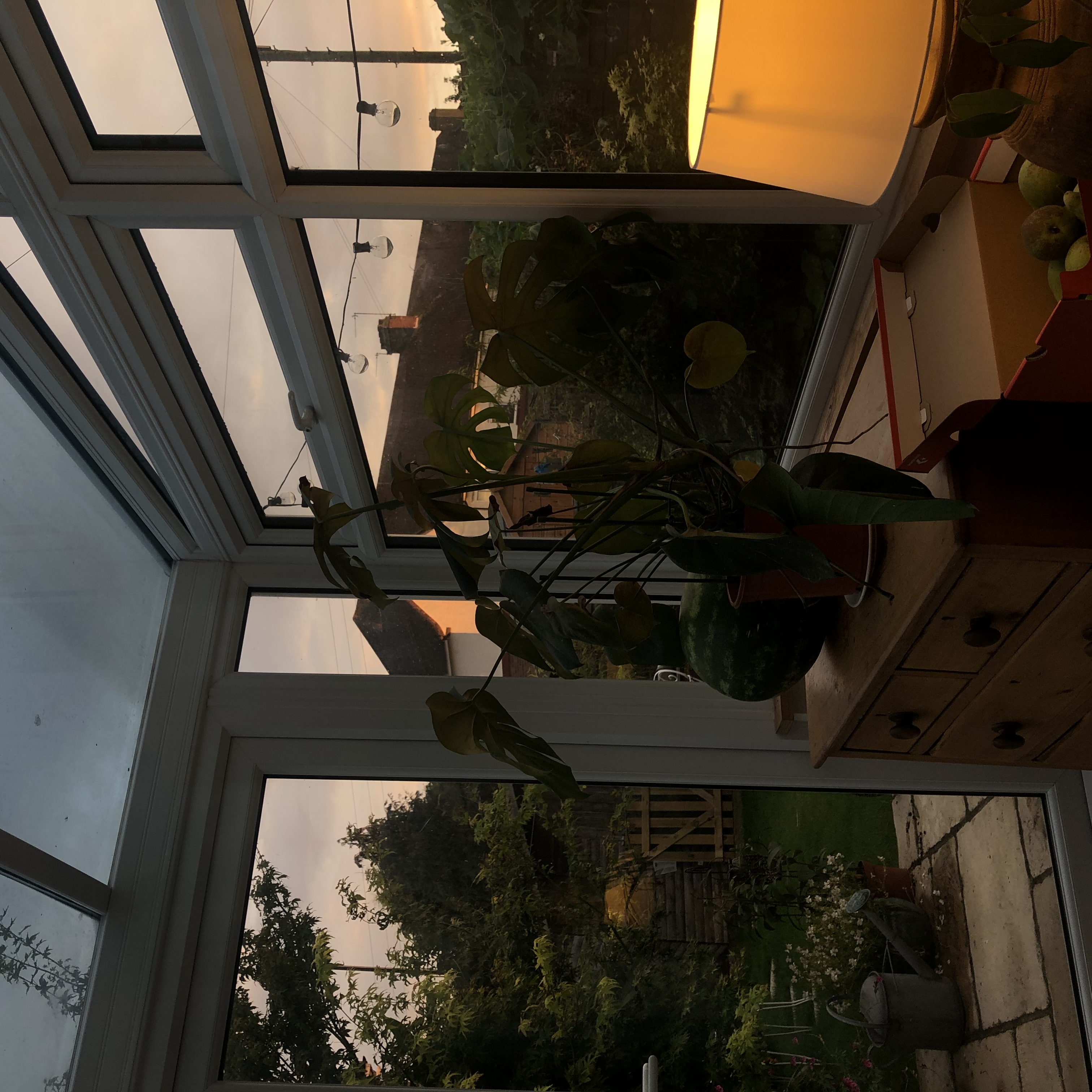 image-19