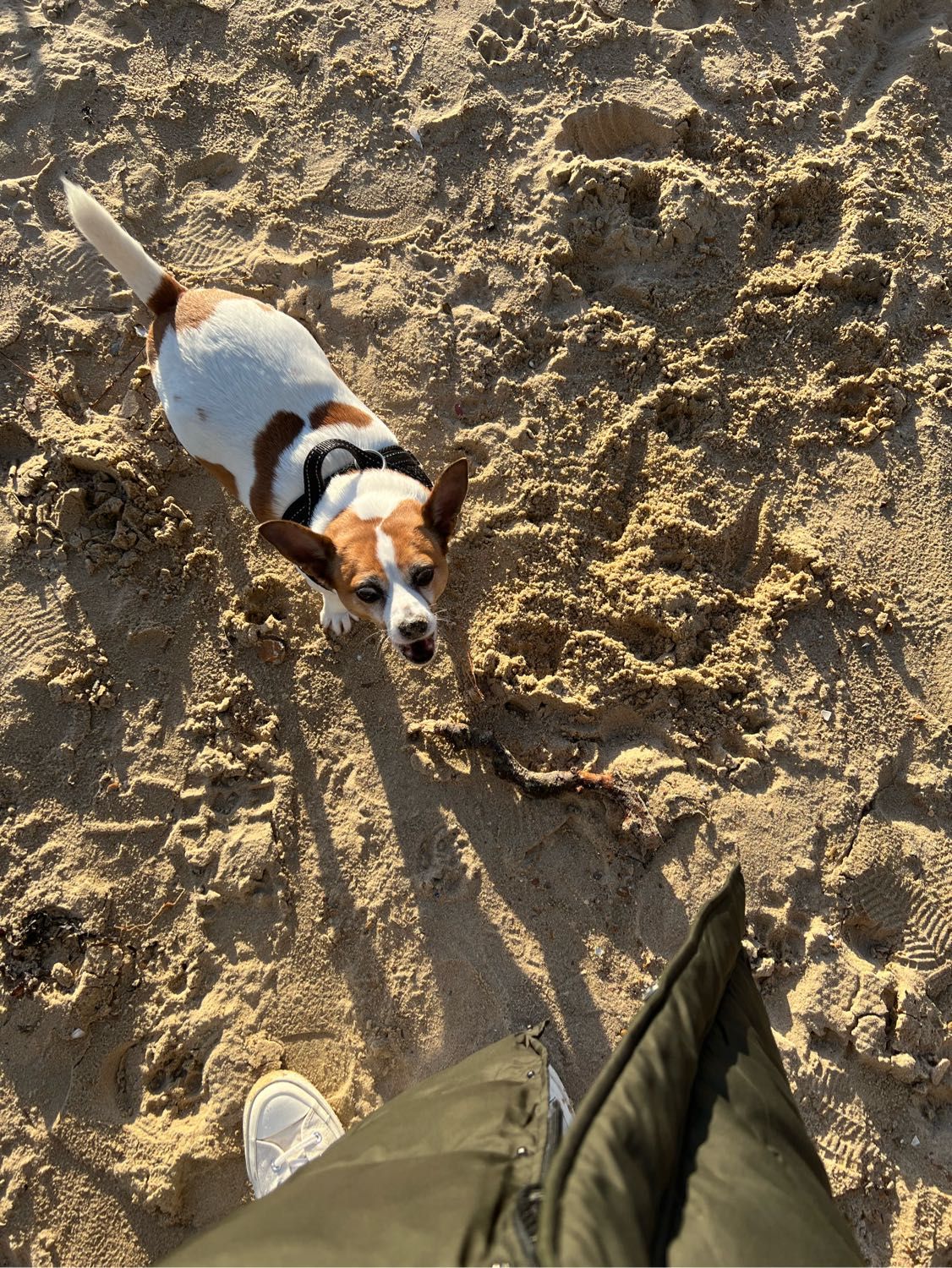 image-5