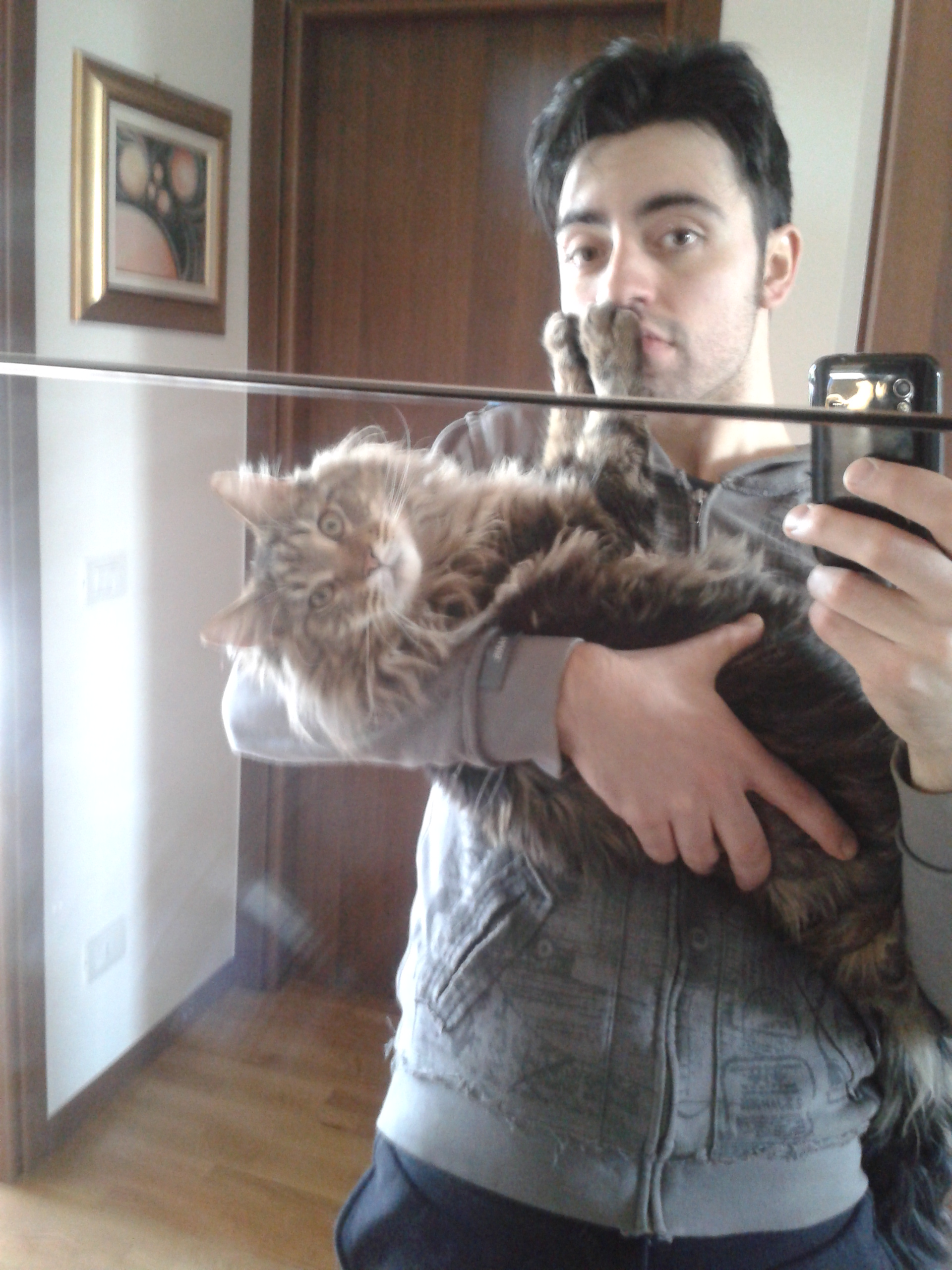 image-8