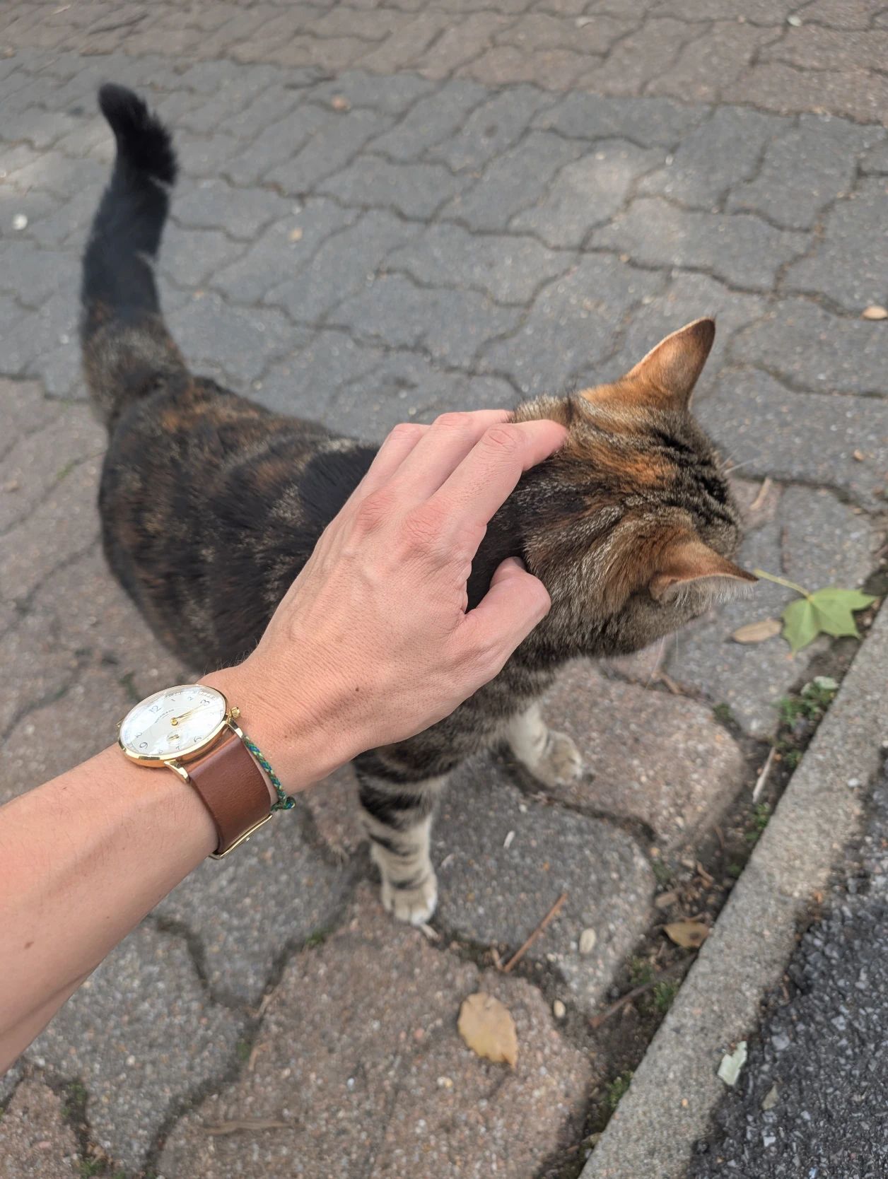 image-7