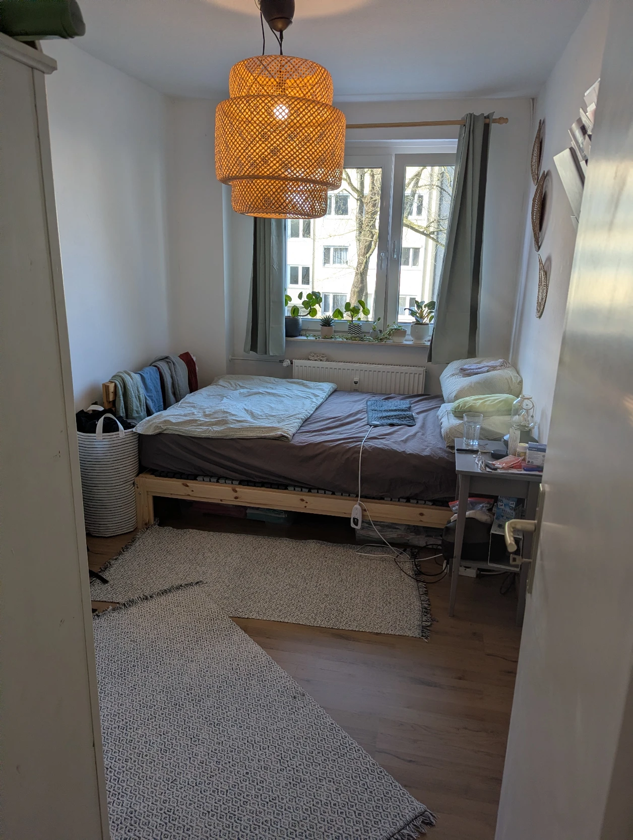 image-11