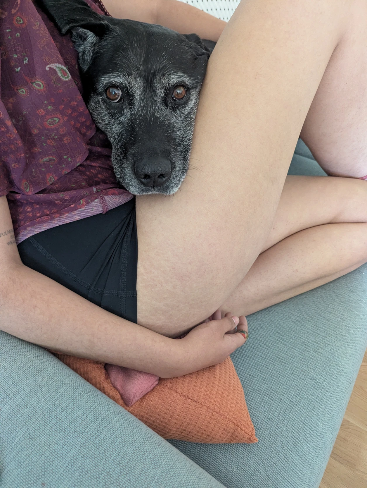 image-9