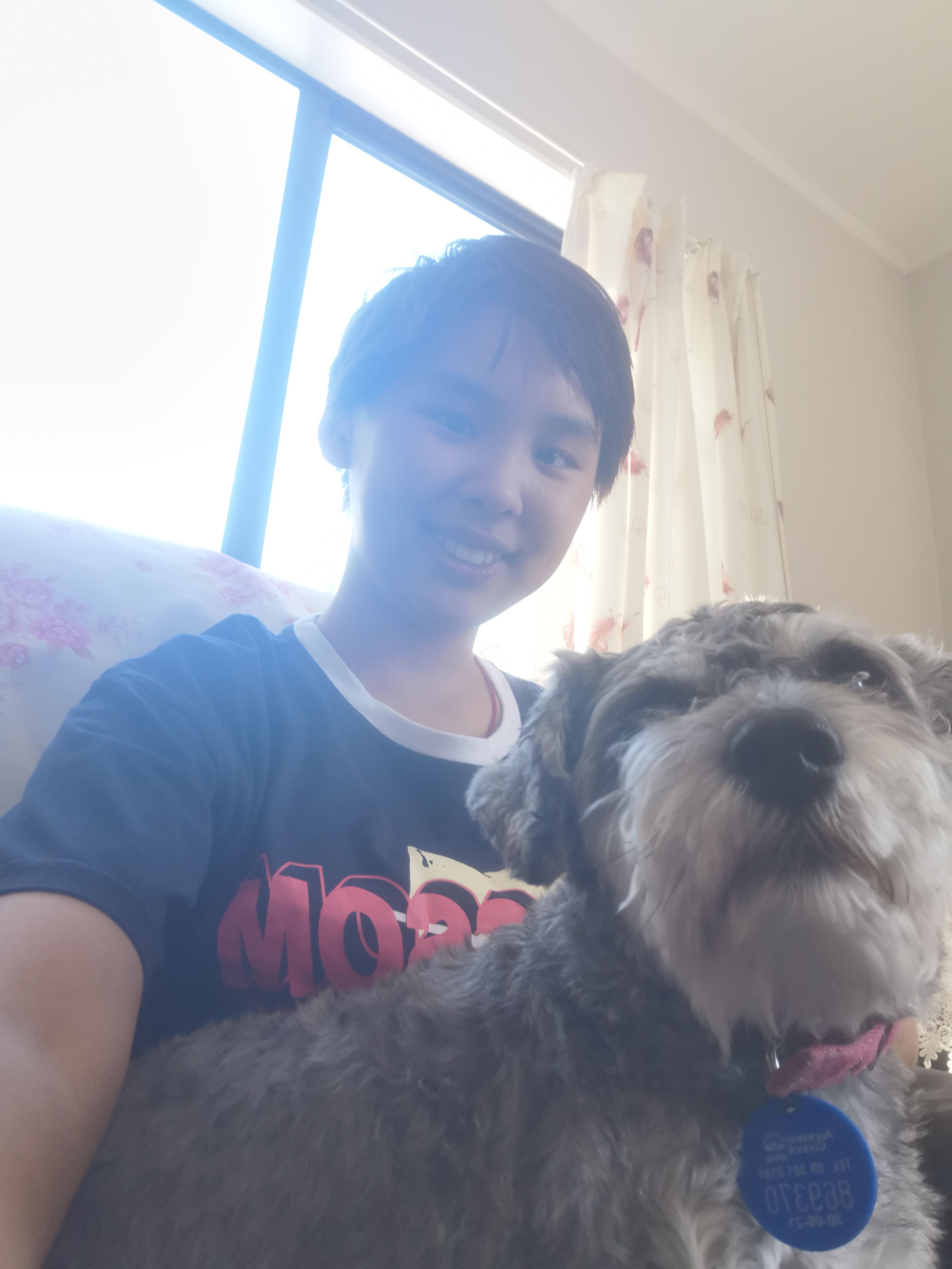 image-7