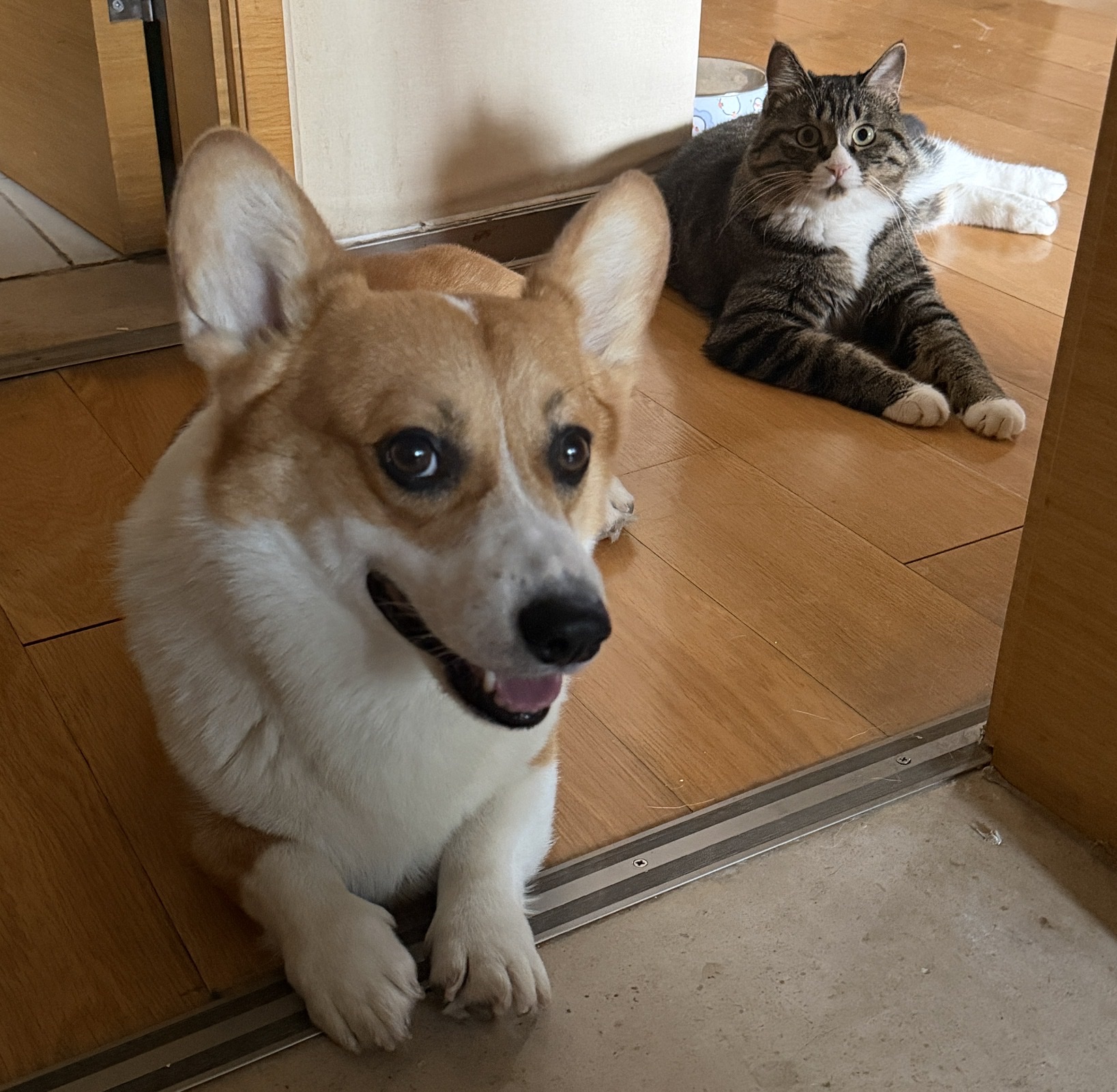 image-0