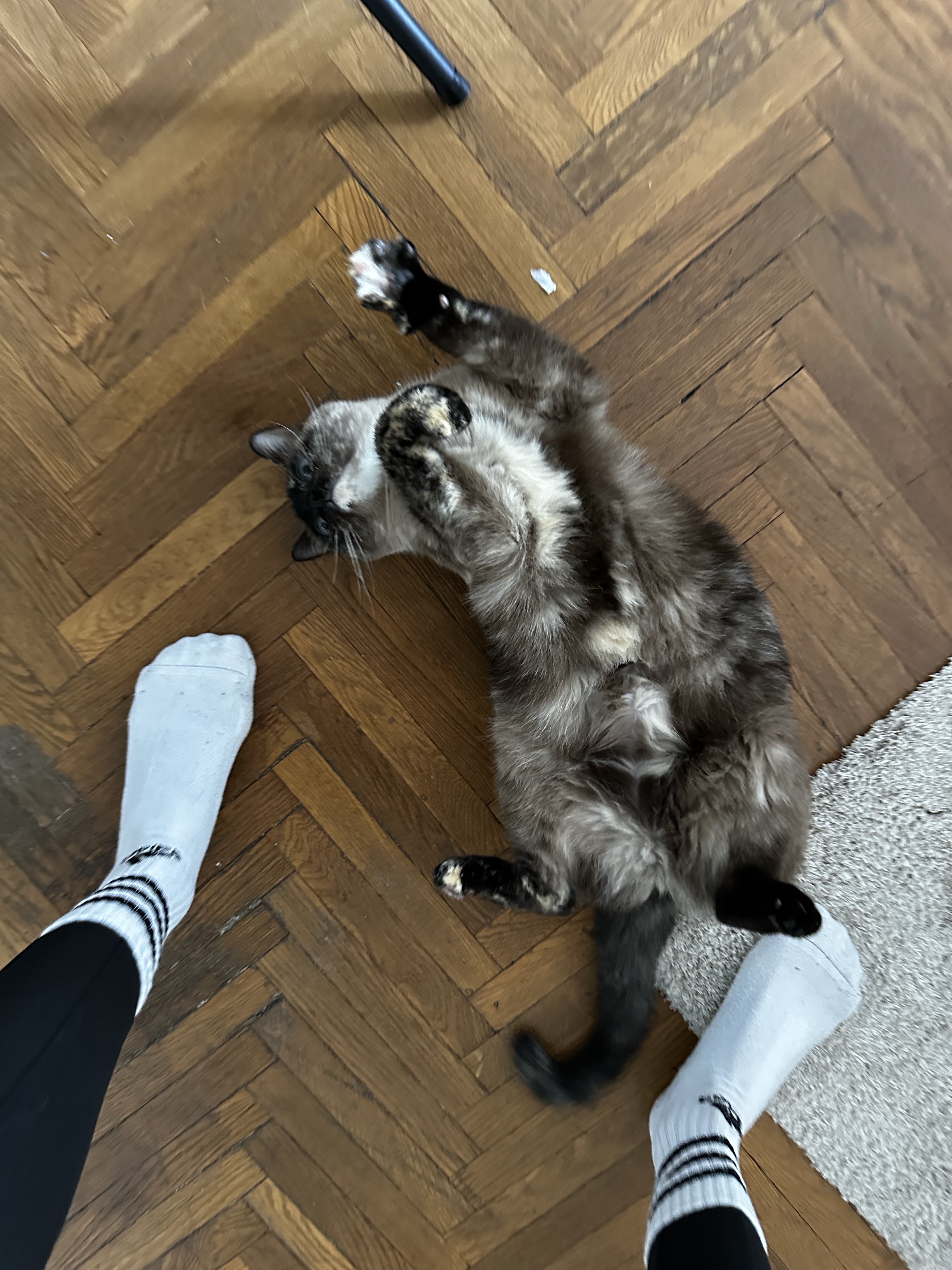image-9