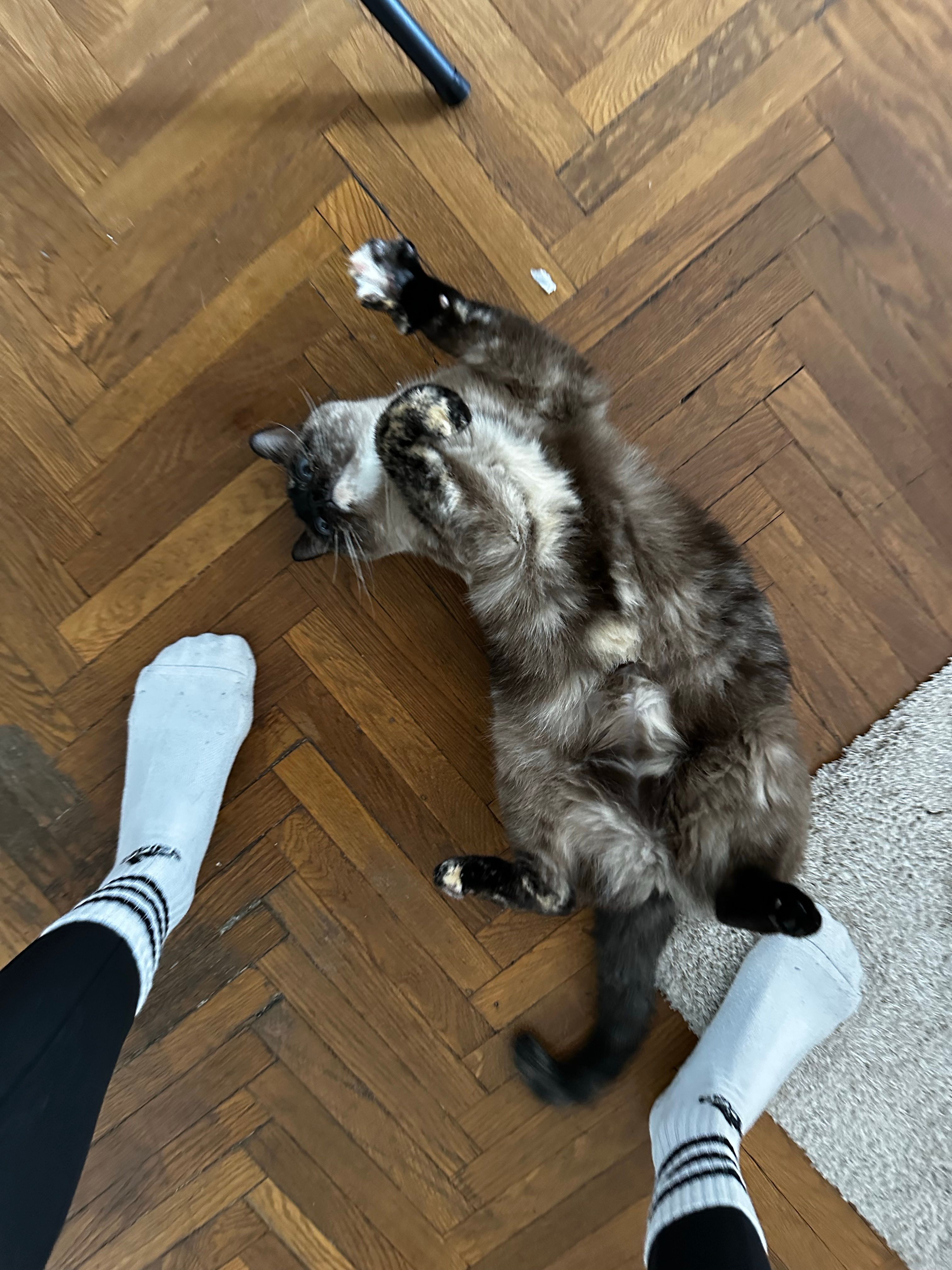 image-9
