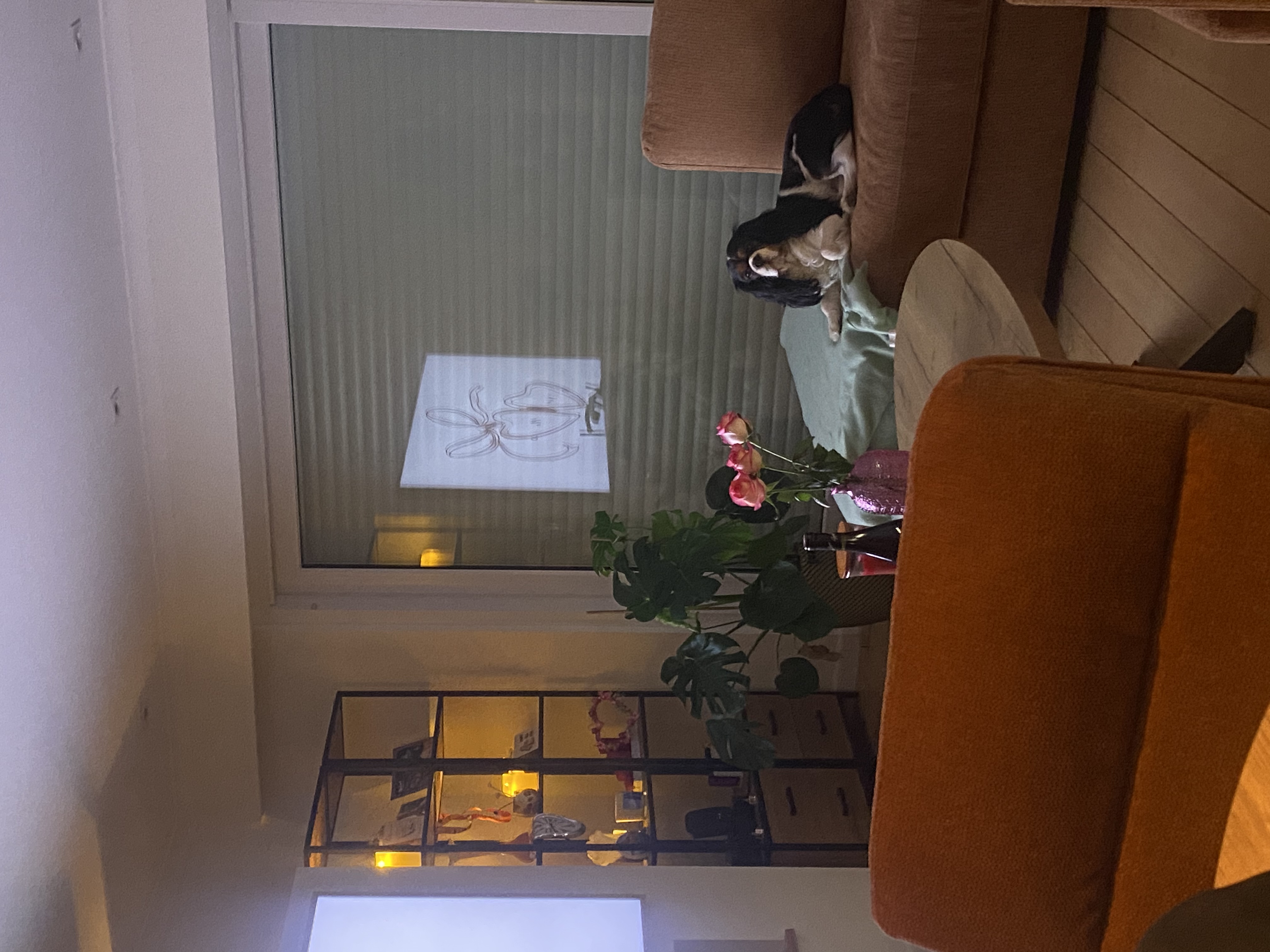image-14