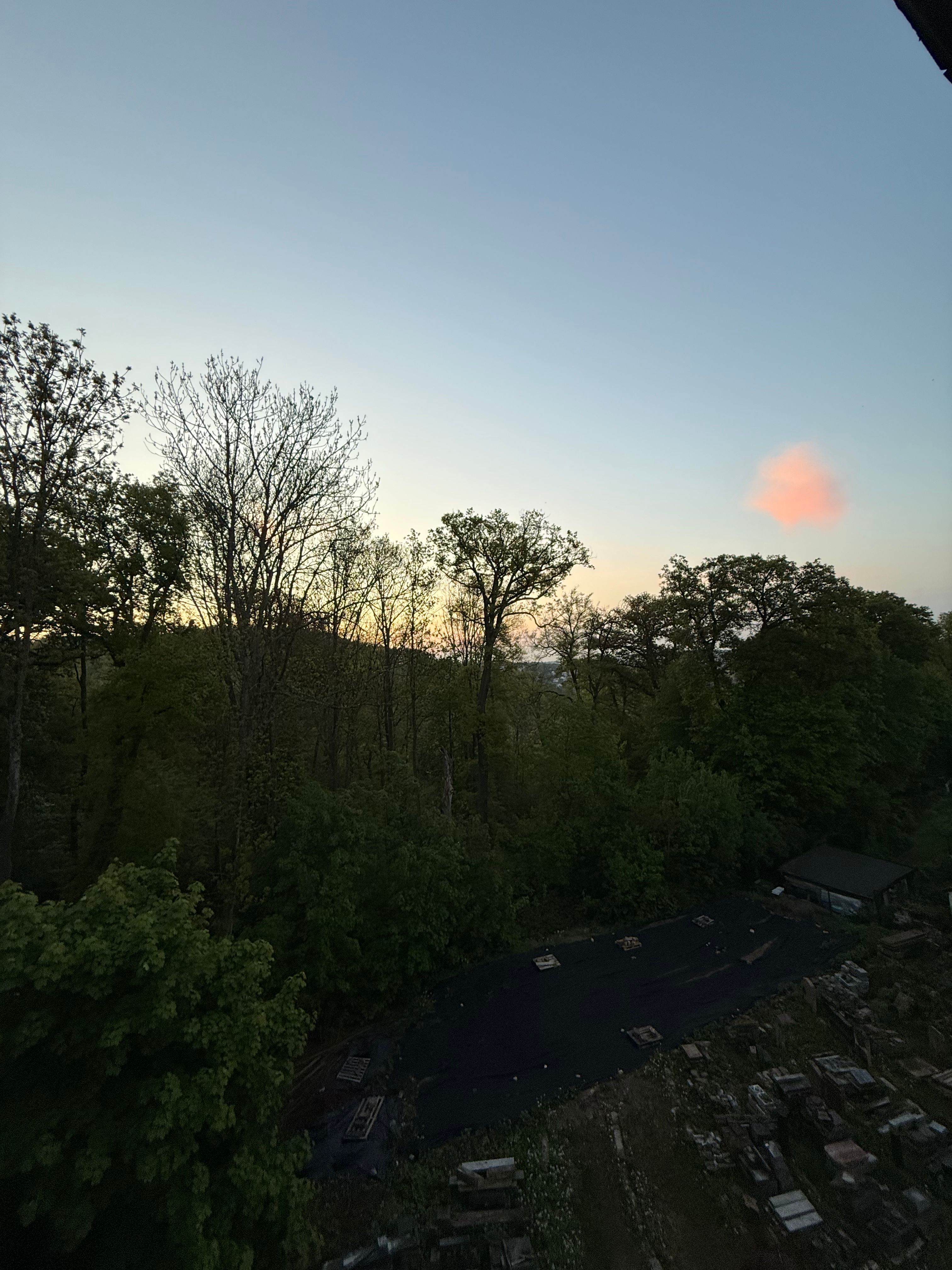 image-10