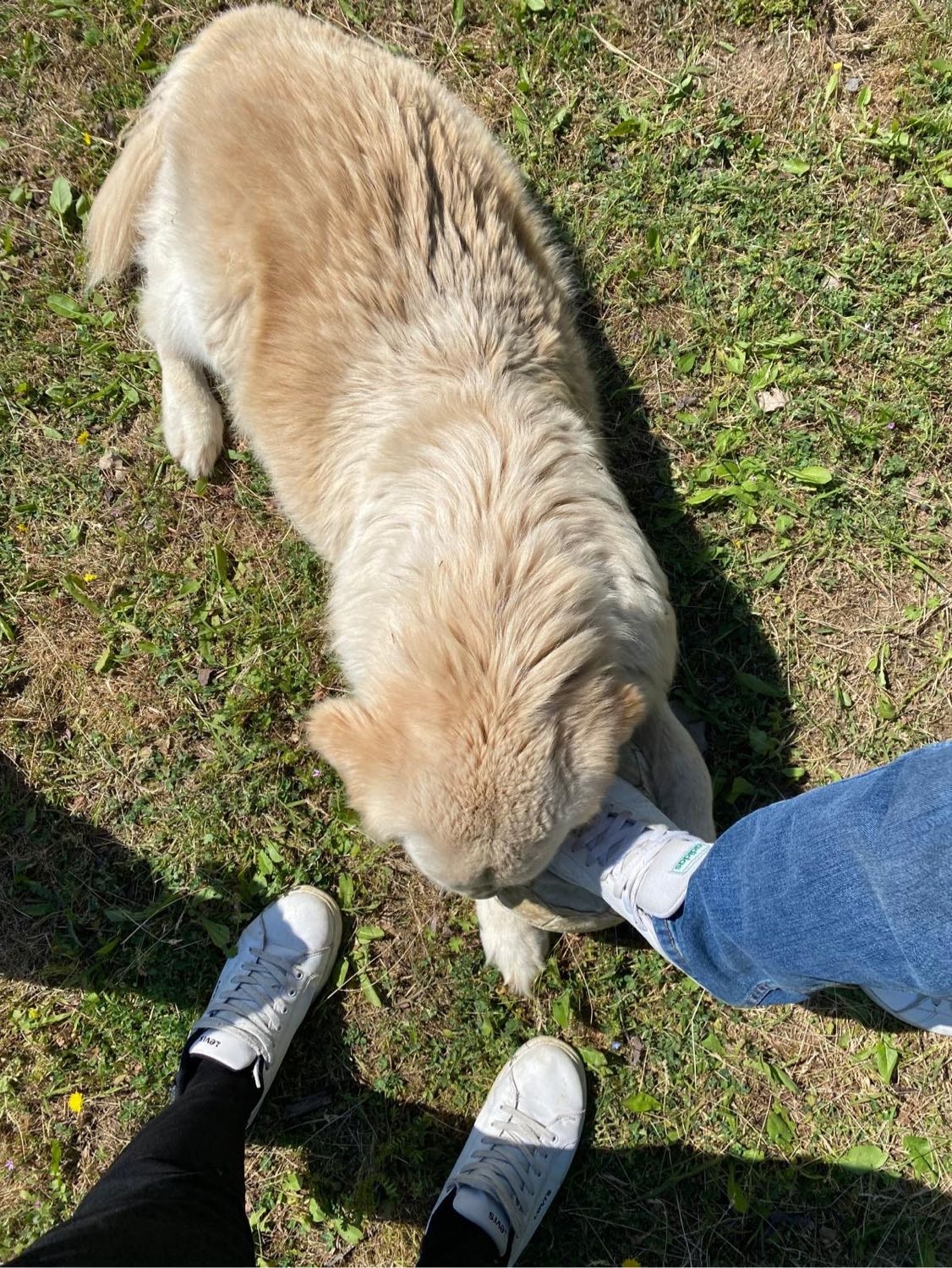 image-7