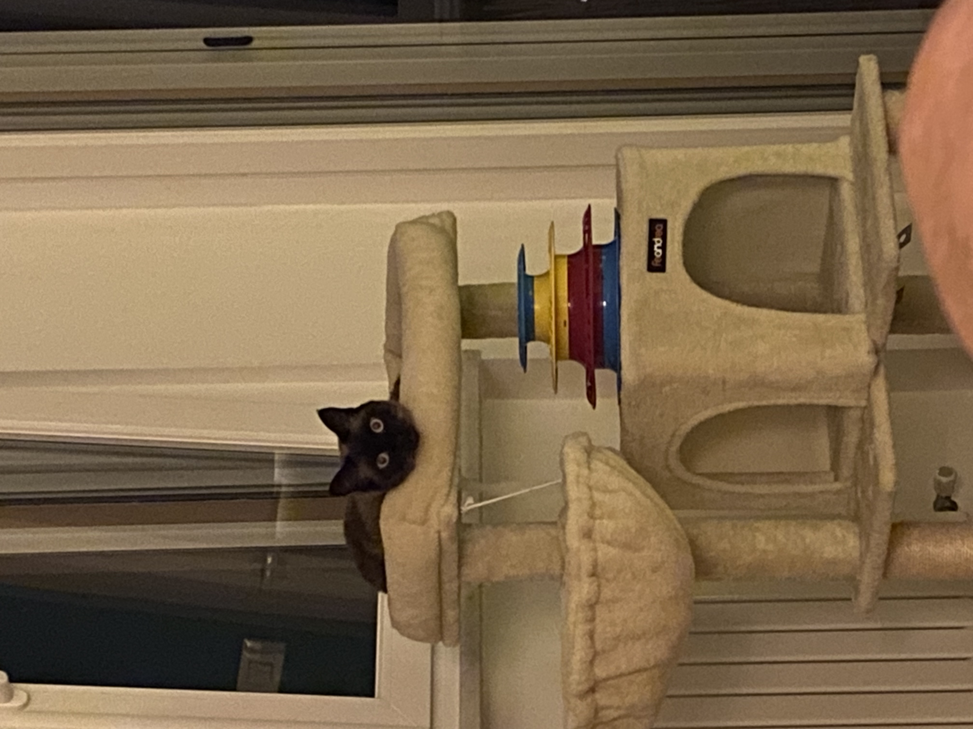 image-11