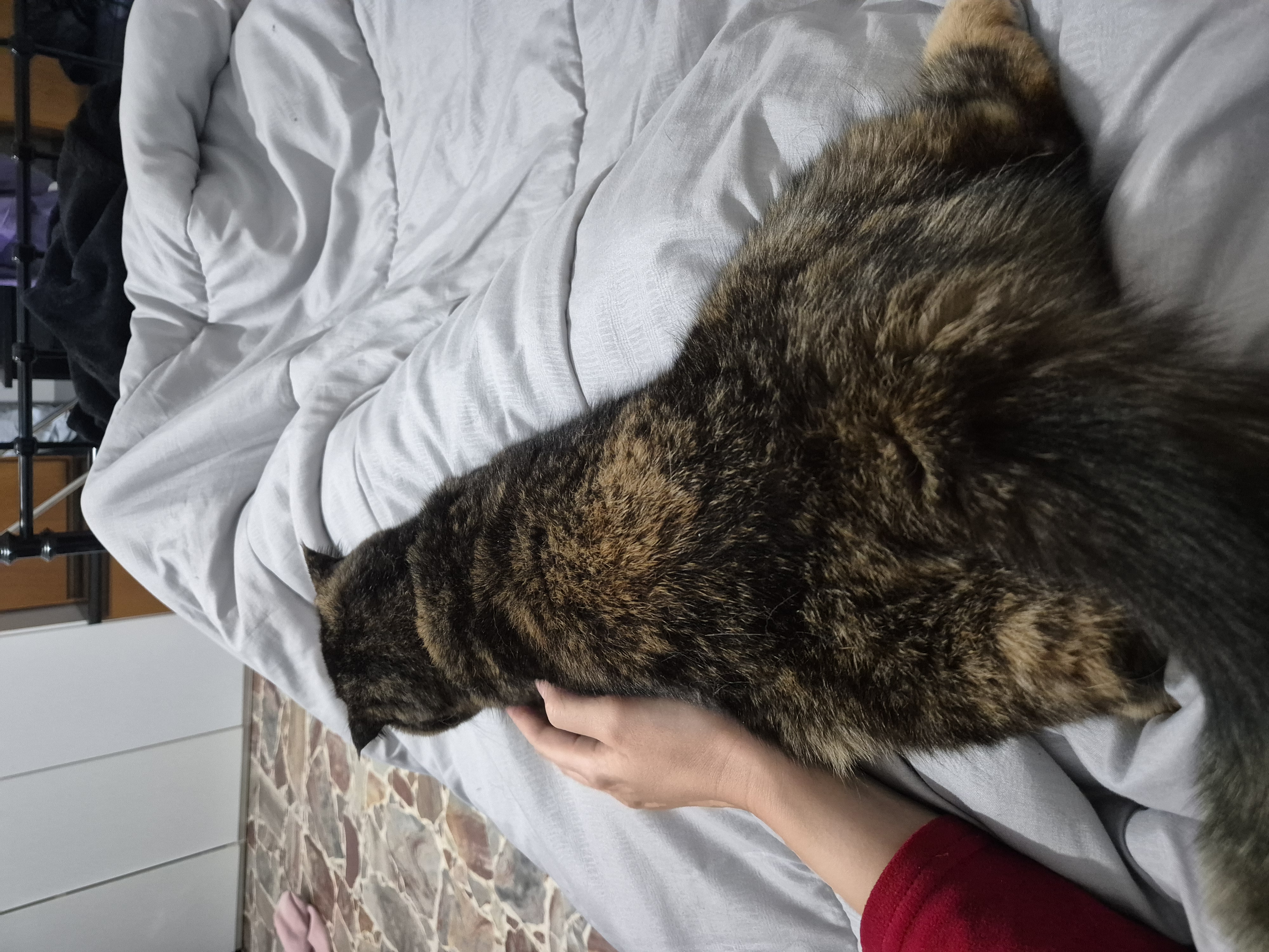 image-9