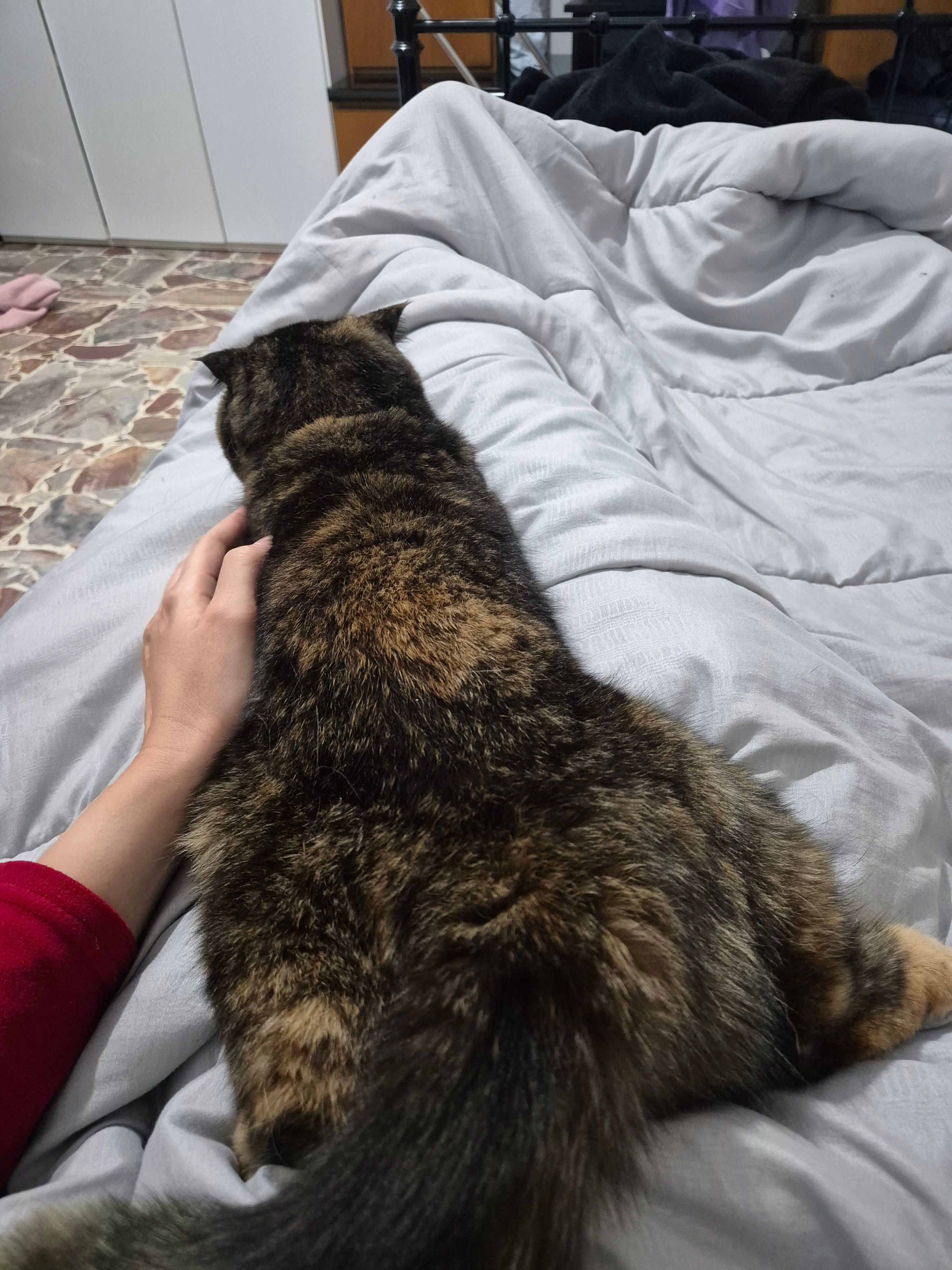 image-9