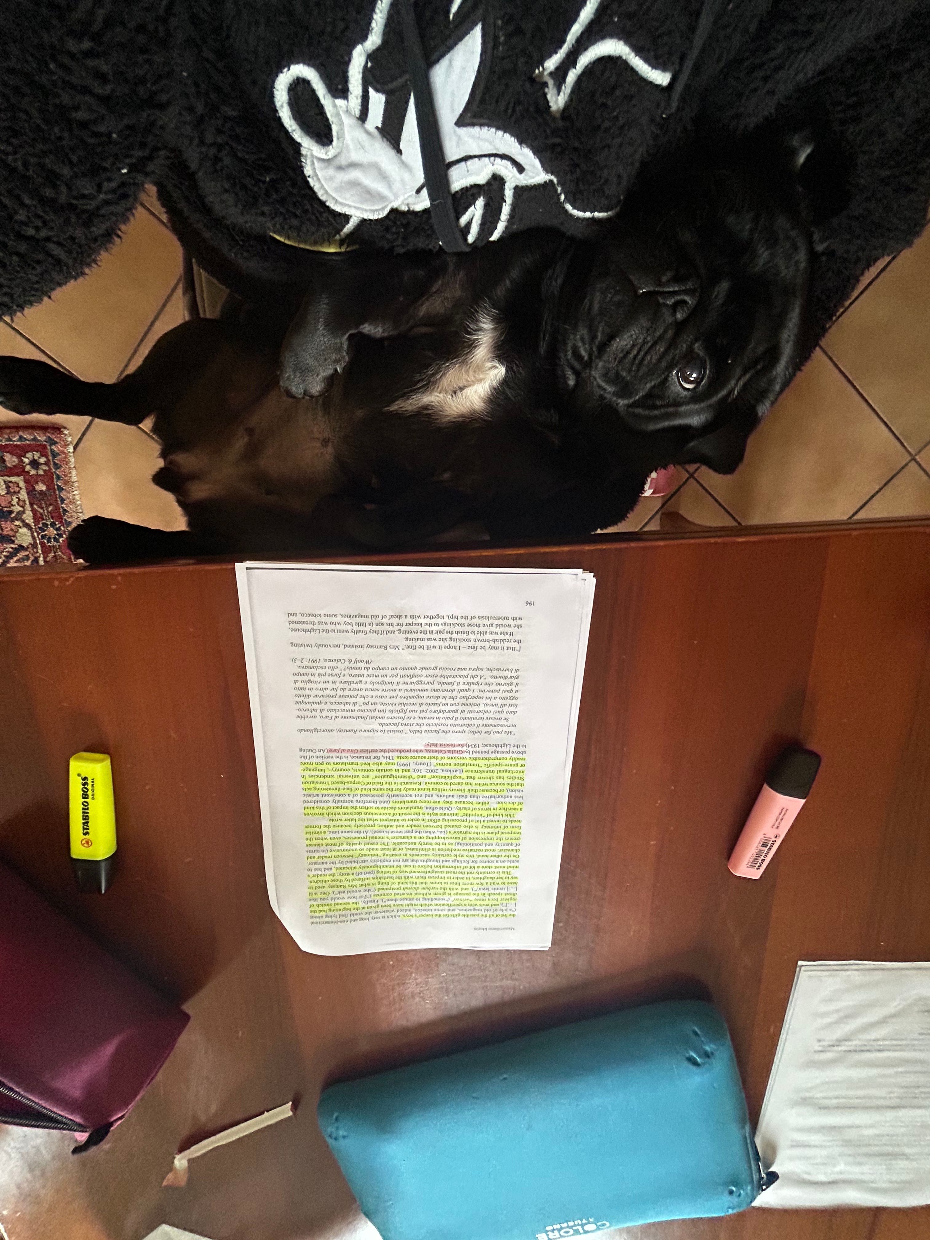 image-5