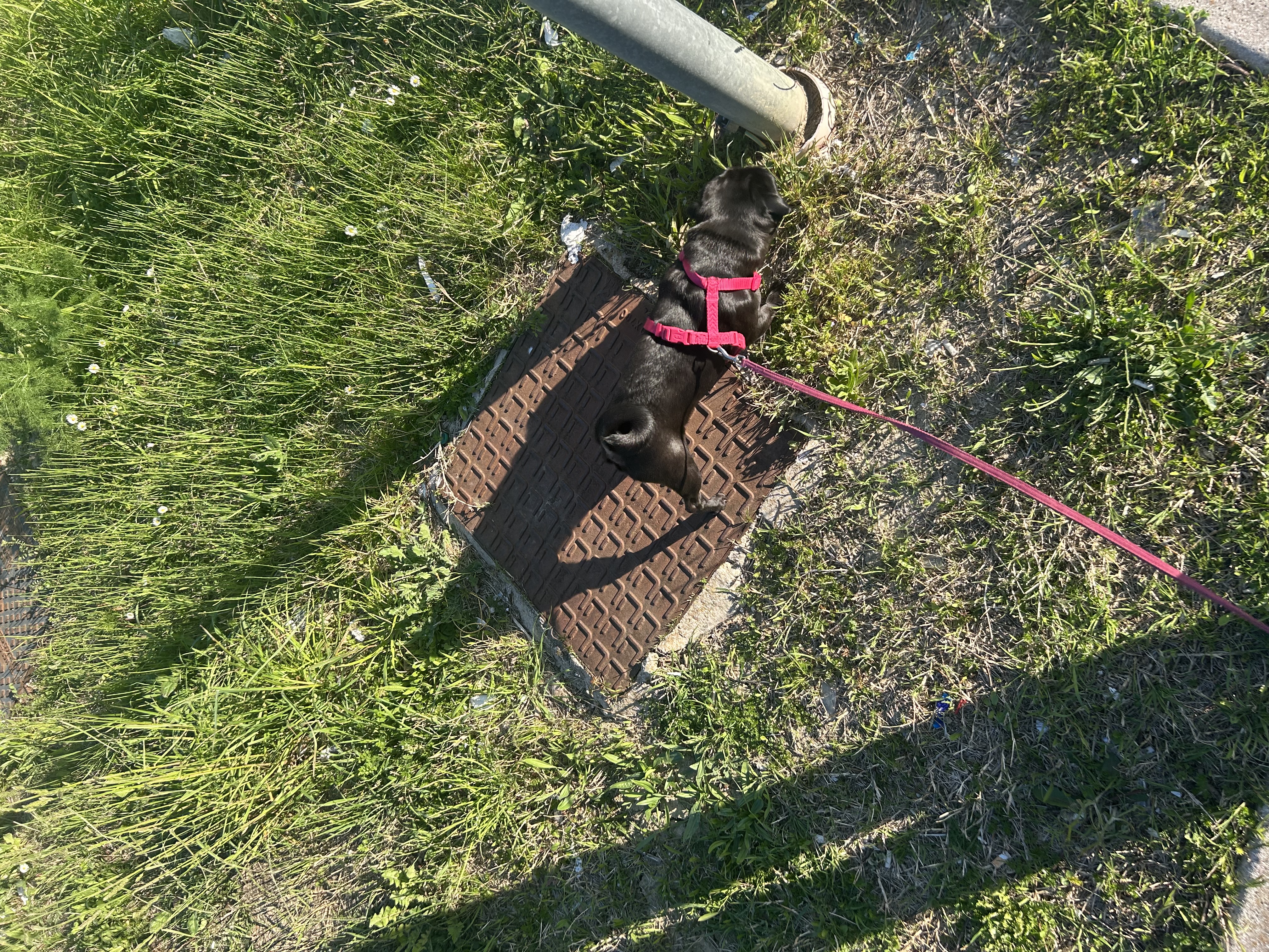 image-8