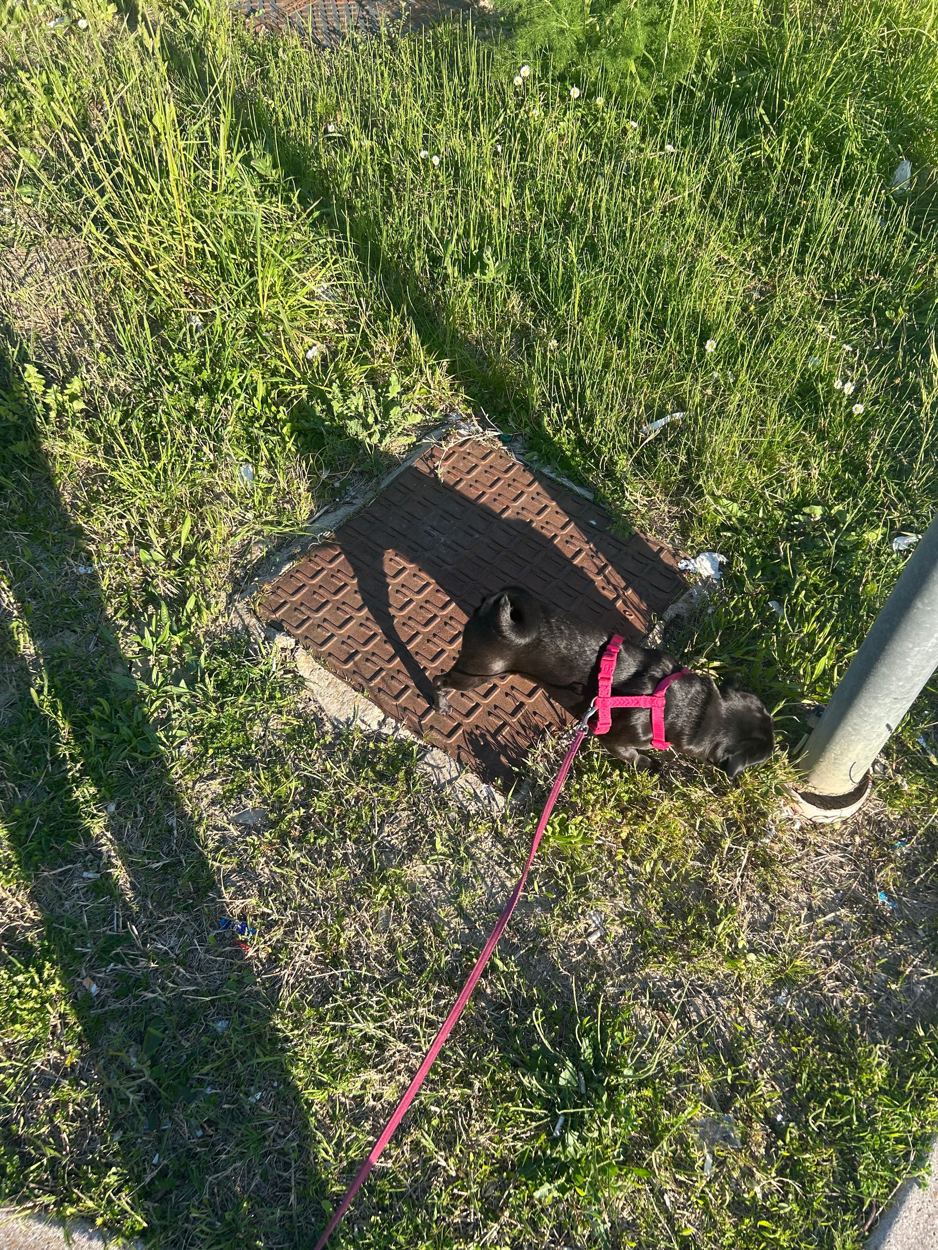 image-8