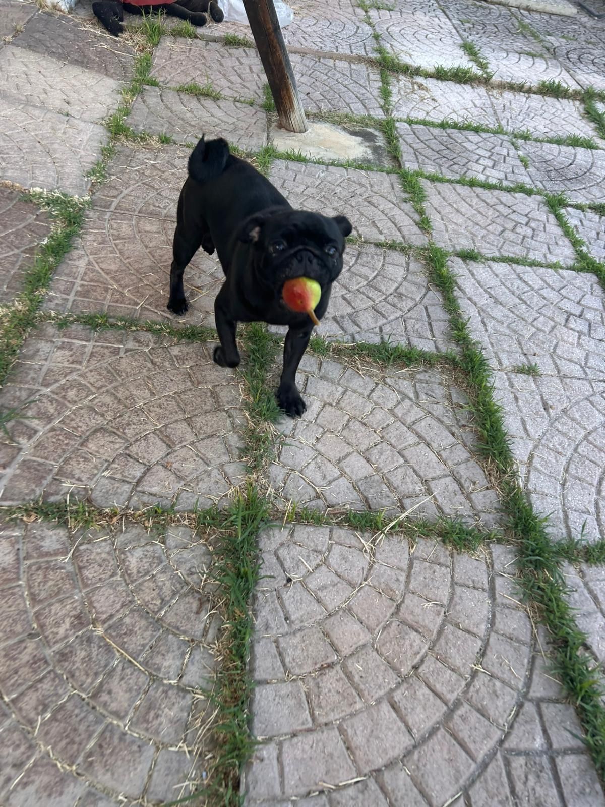 image-11