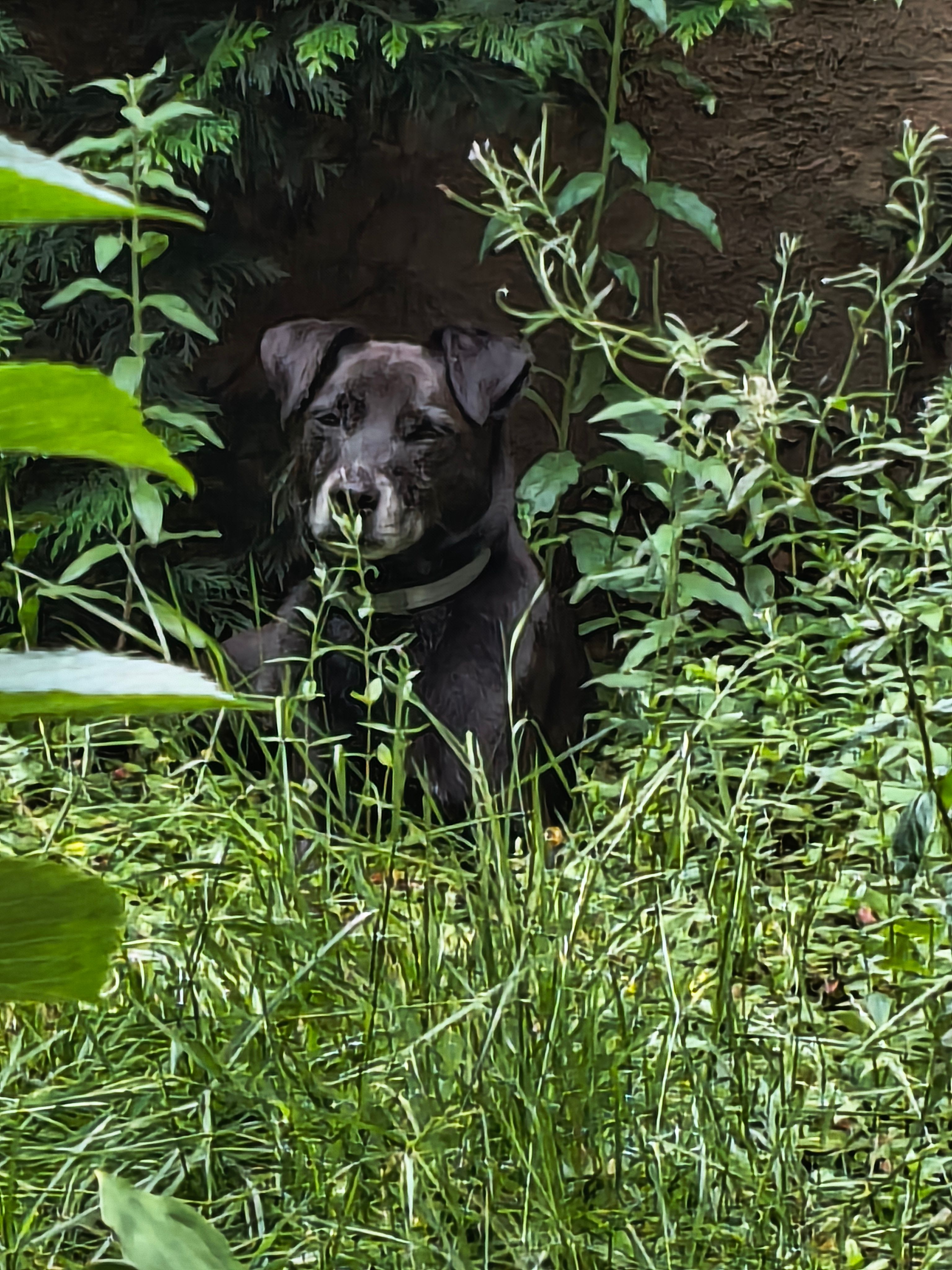 image-6
