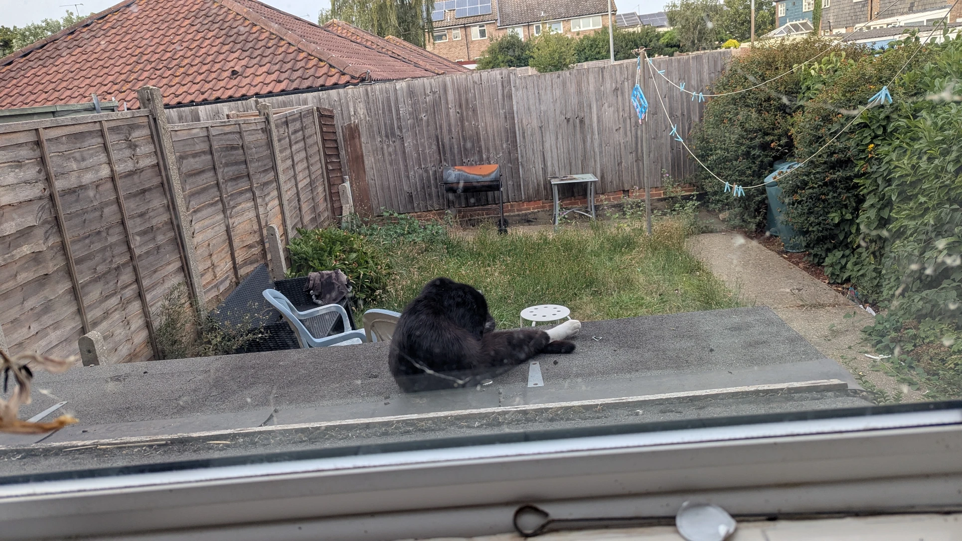 image-20