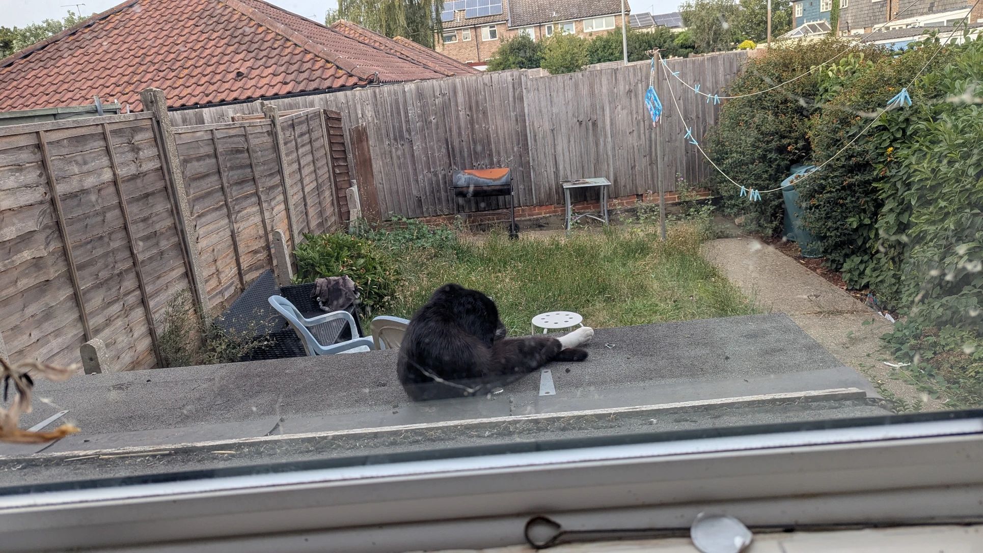 image-20