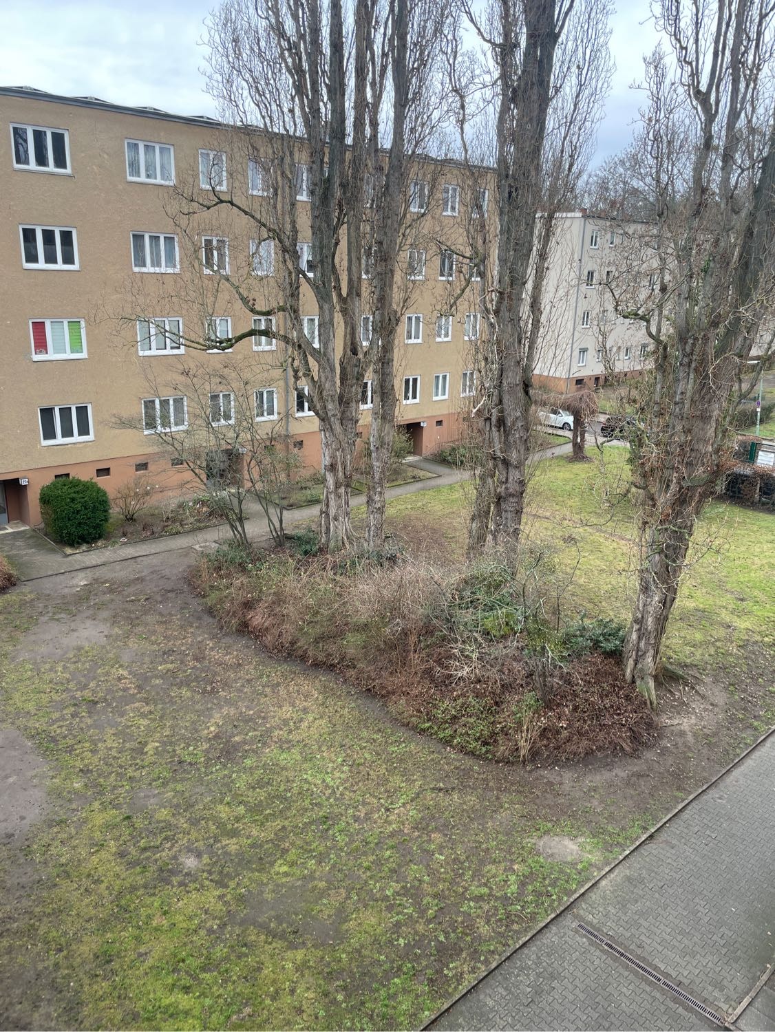 image-18