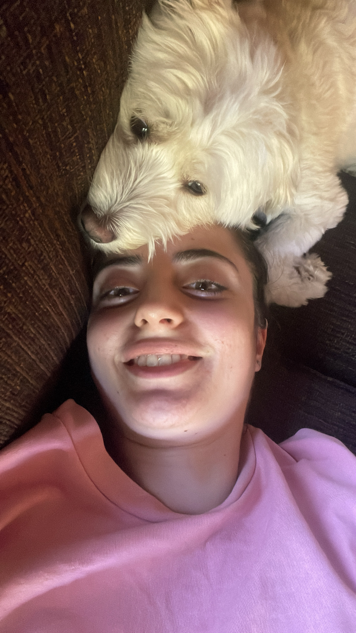 image-8