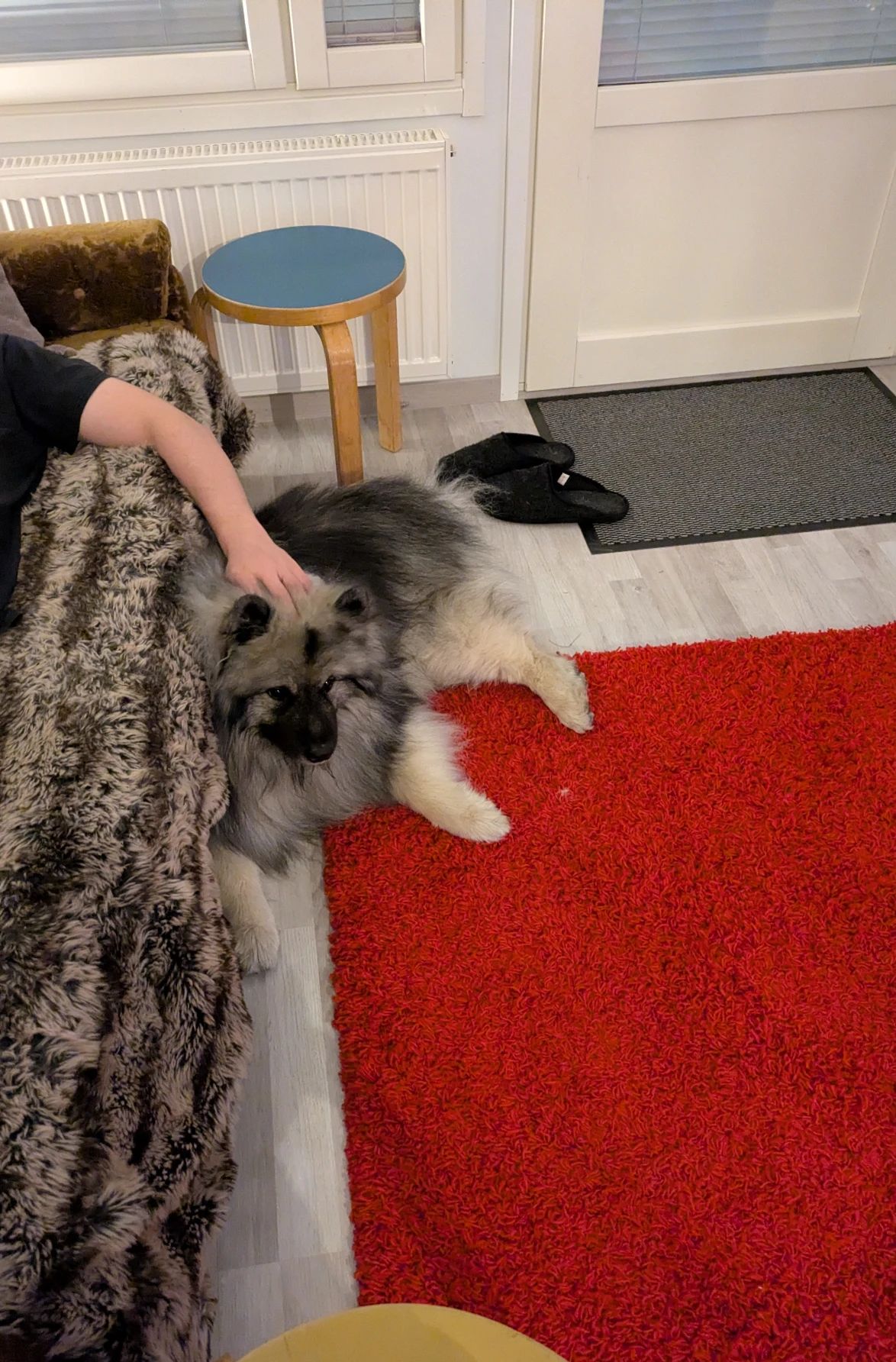 image-28