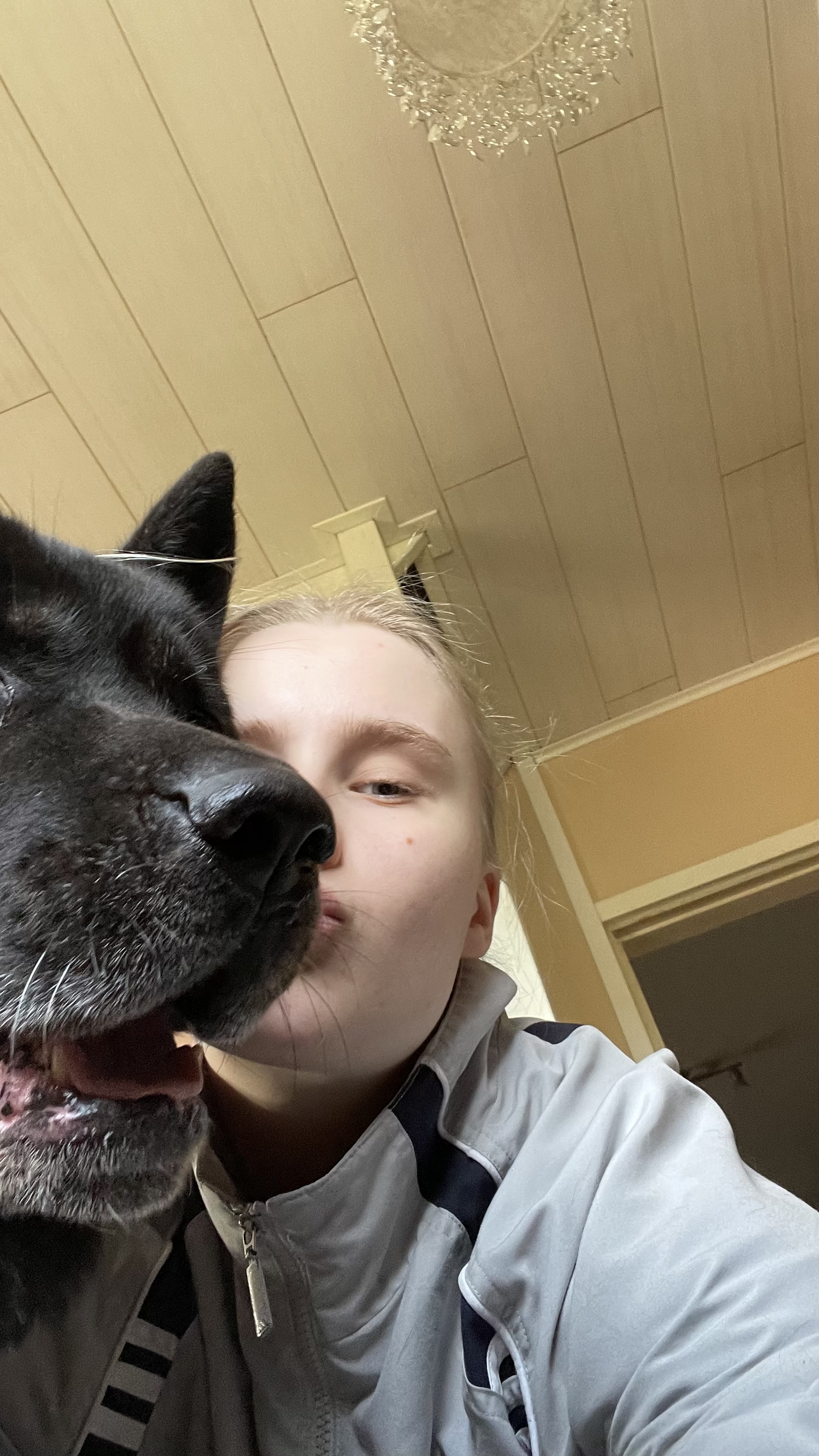 image-14