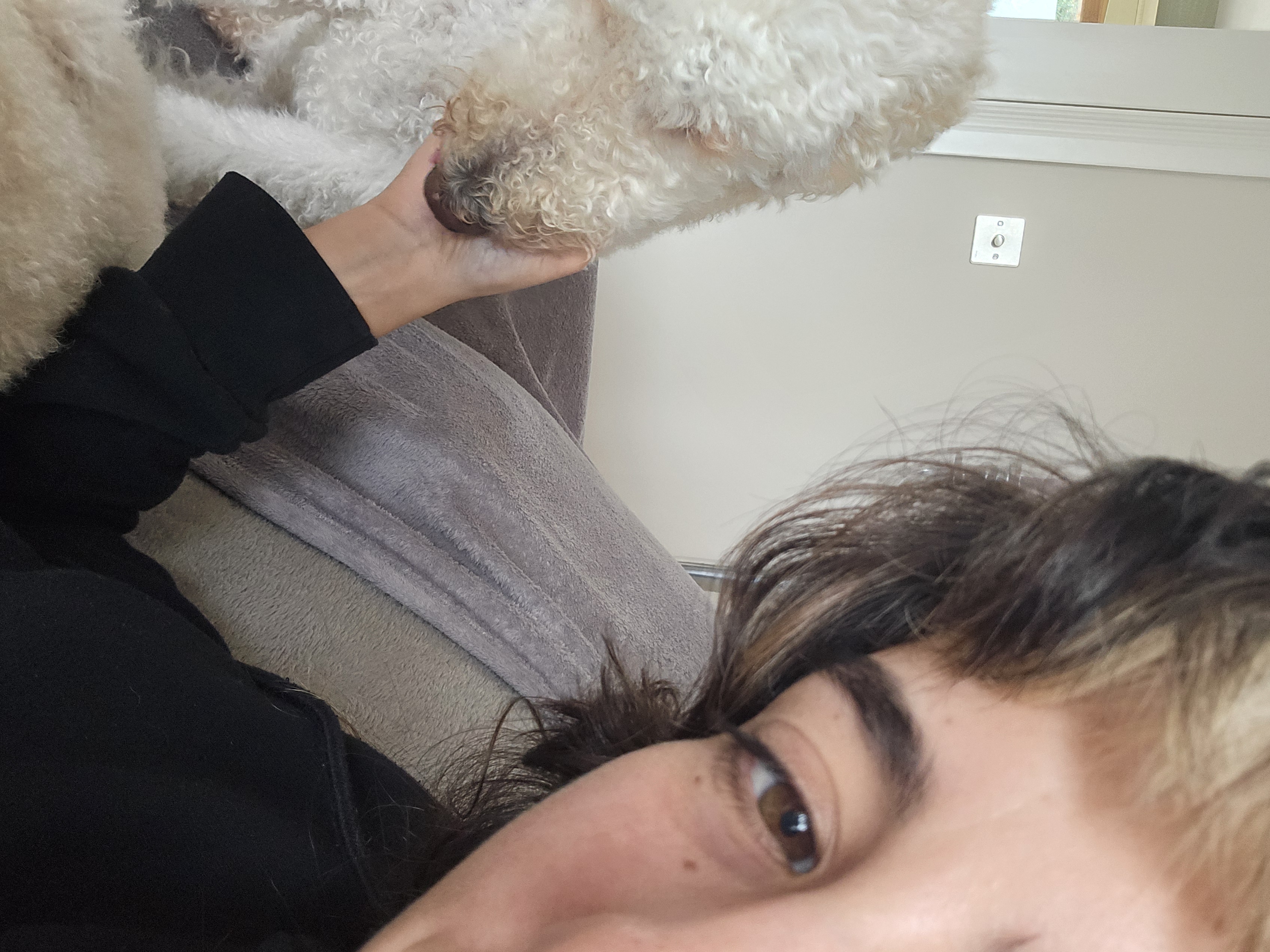 image-8