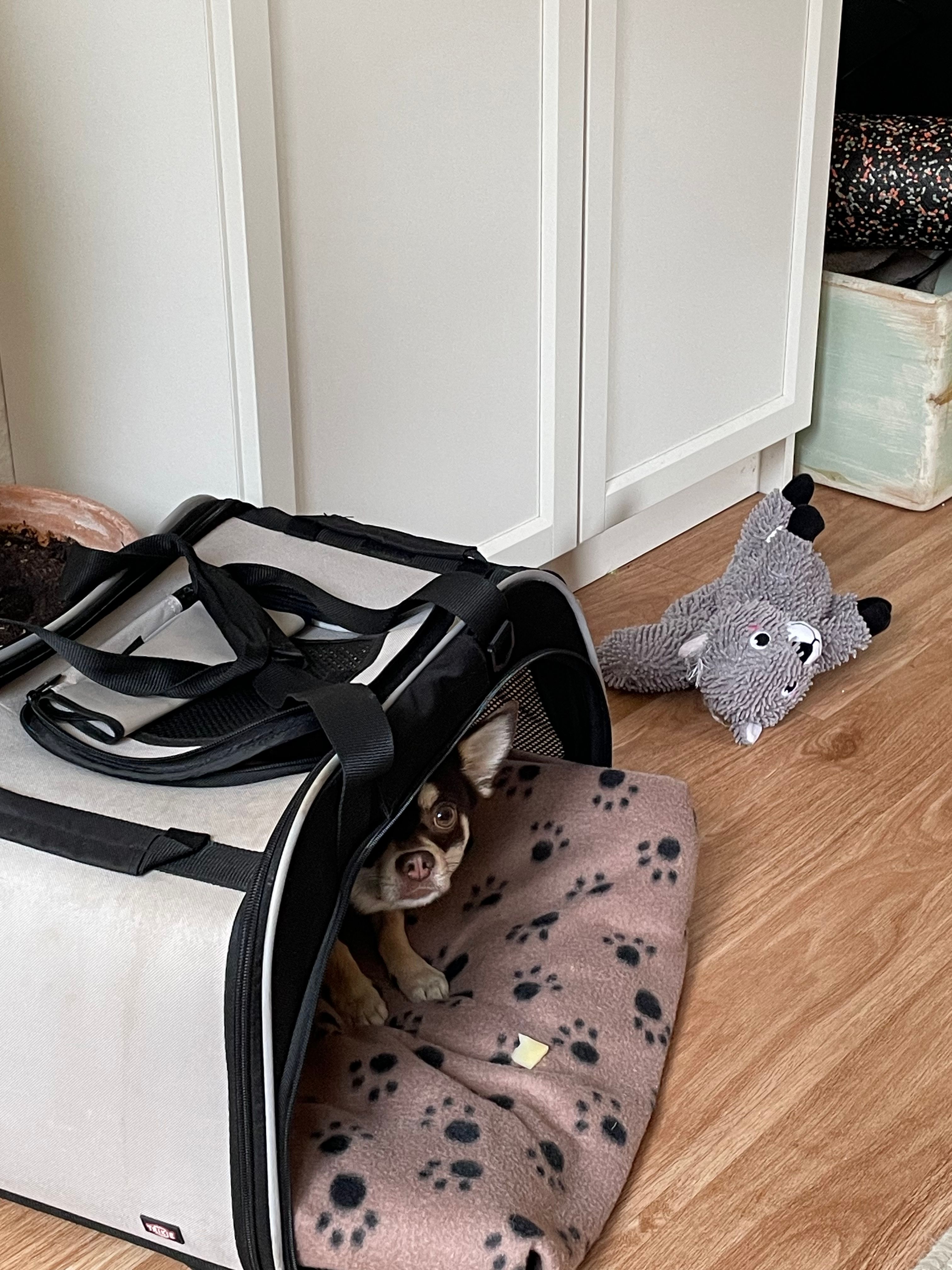 image-18