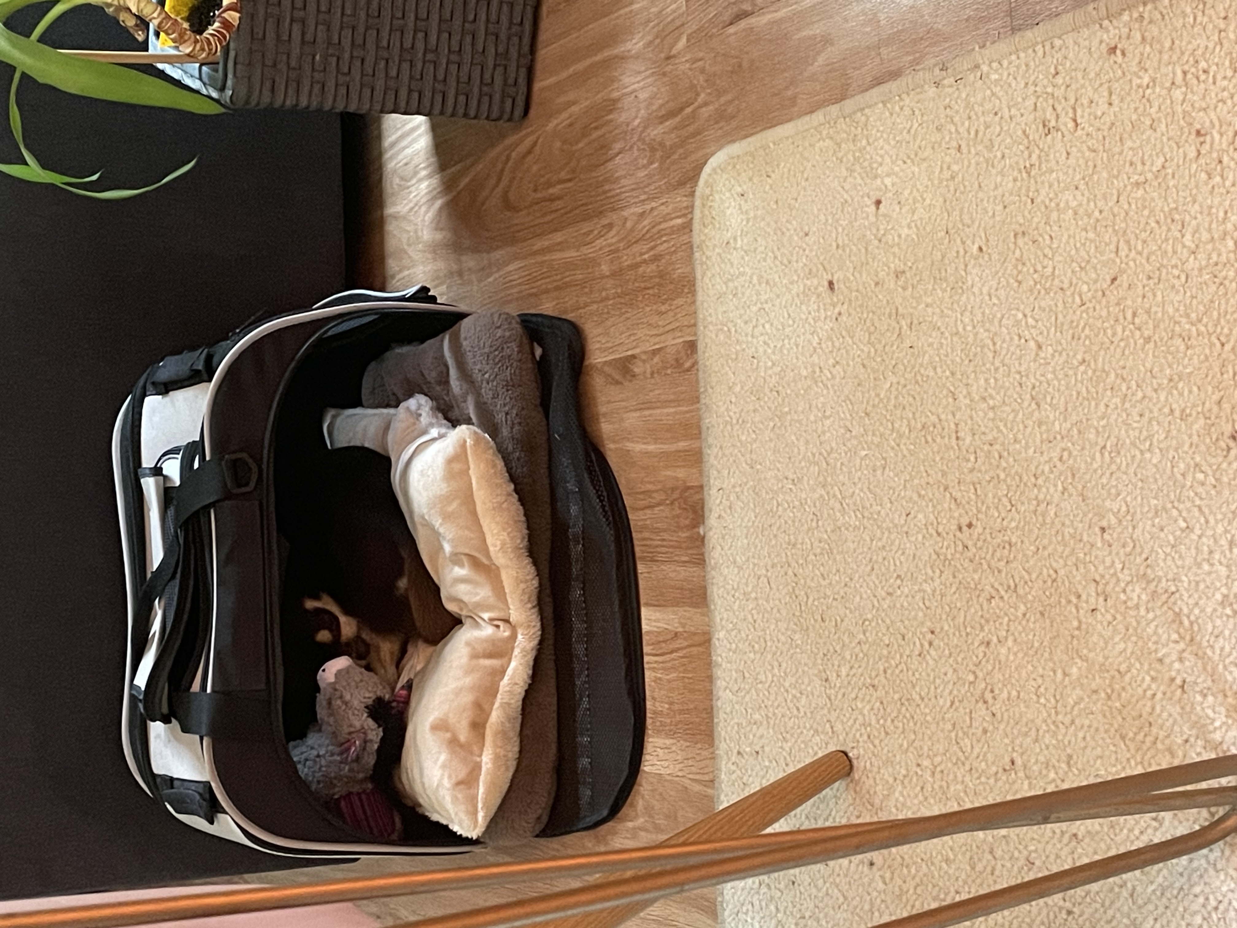 image-16