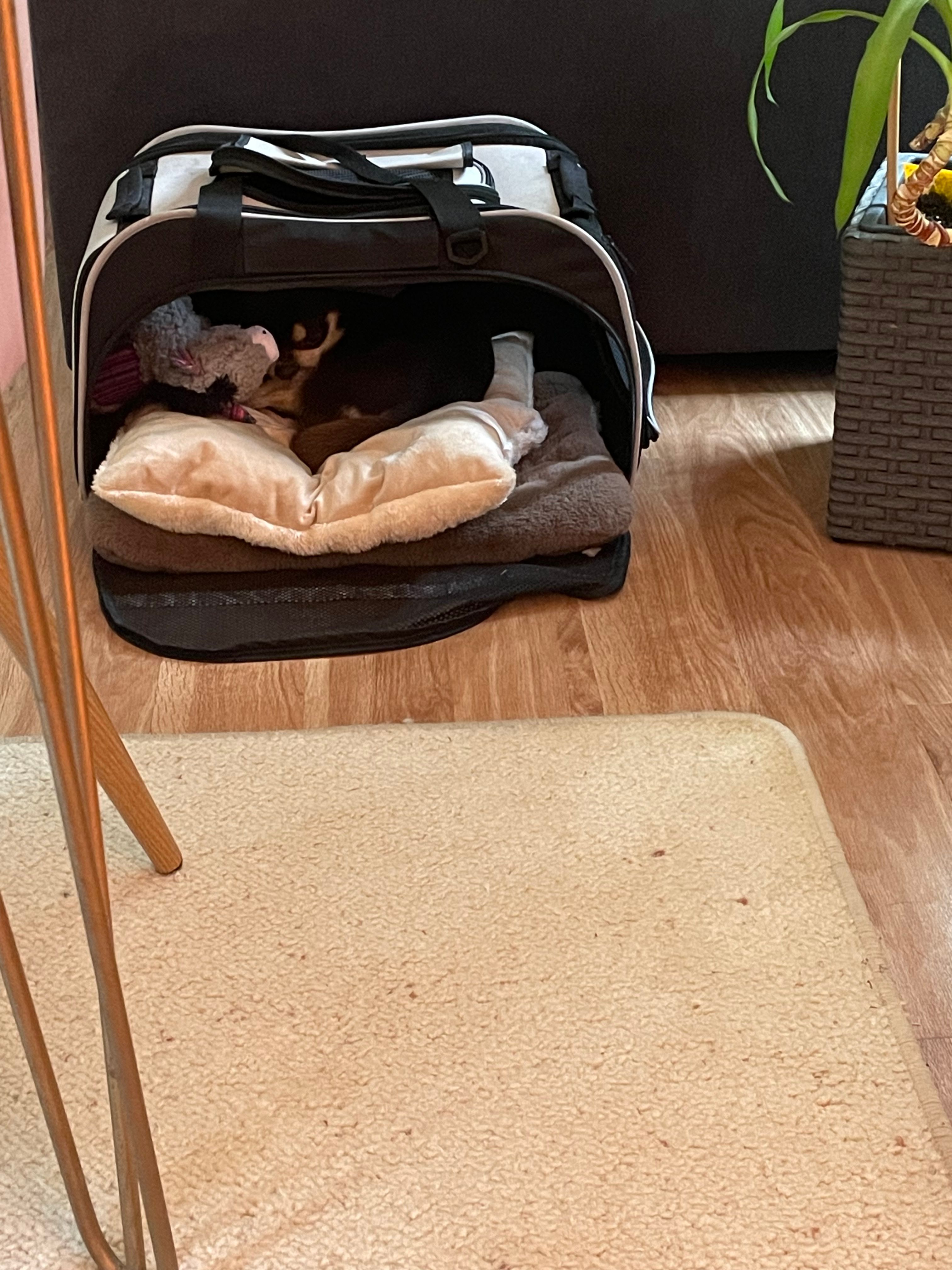 image-16