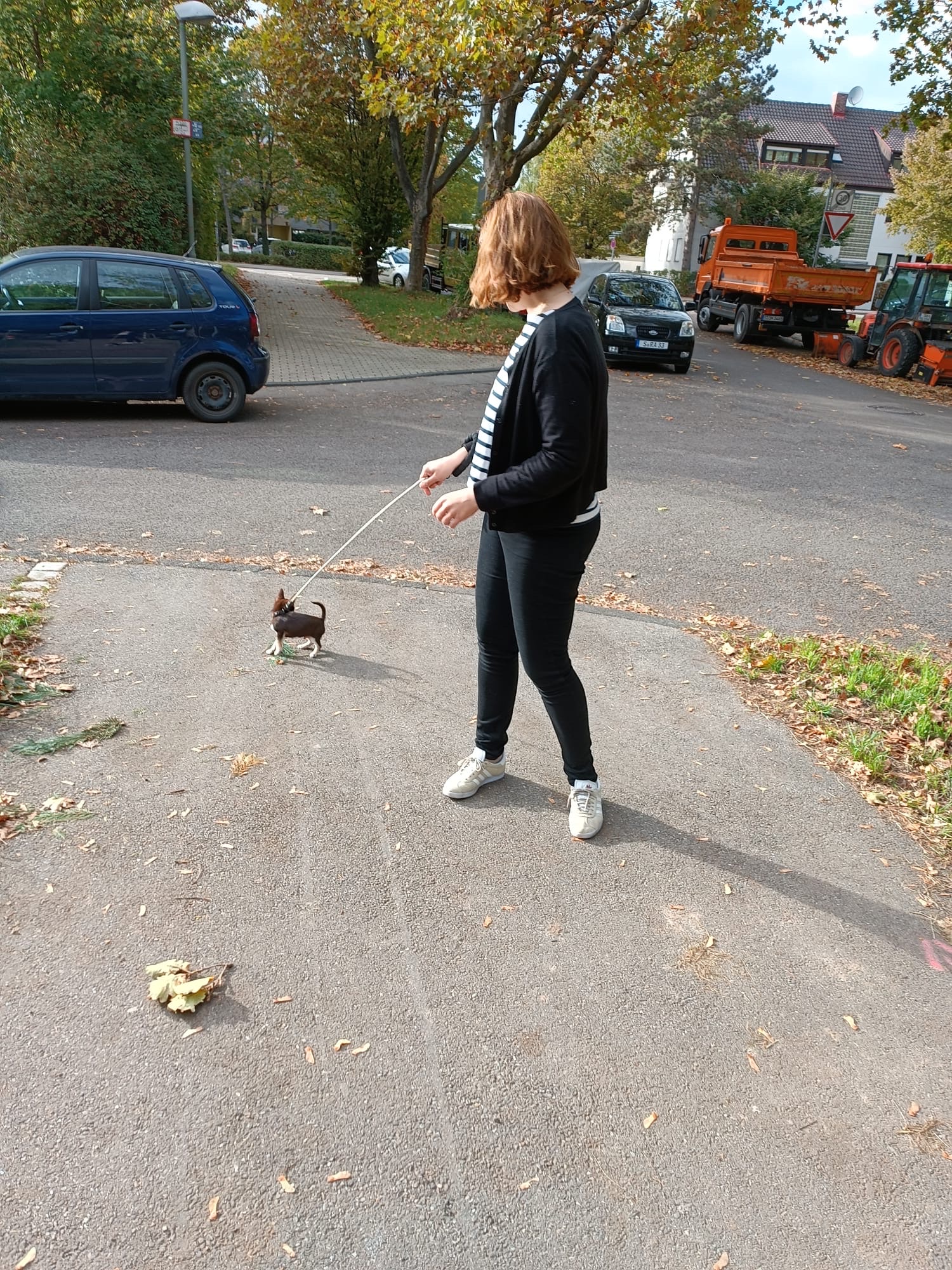 image-15