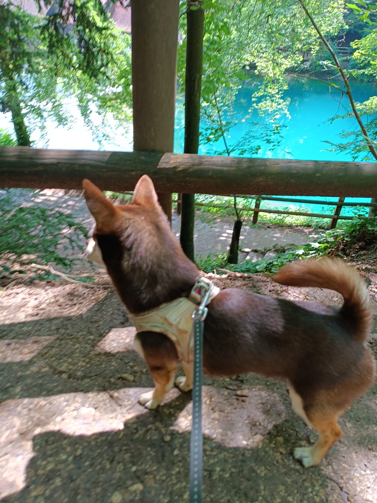 image-8
