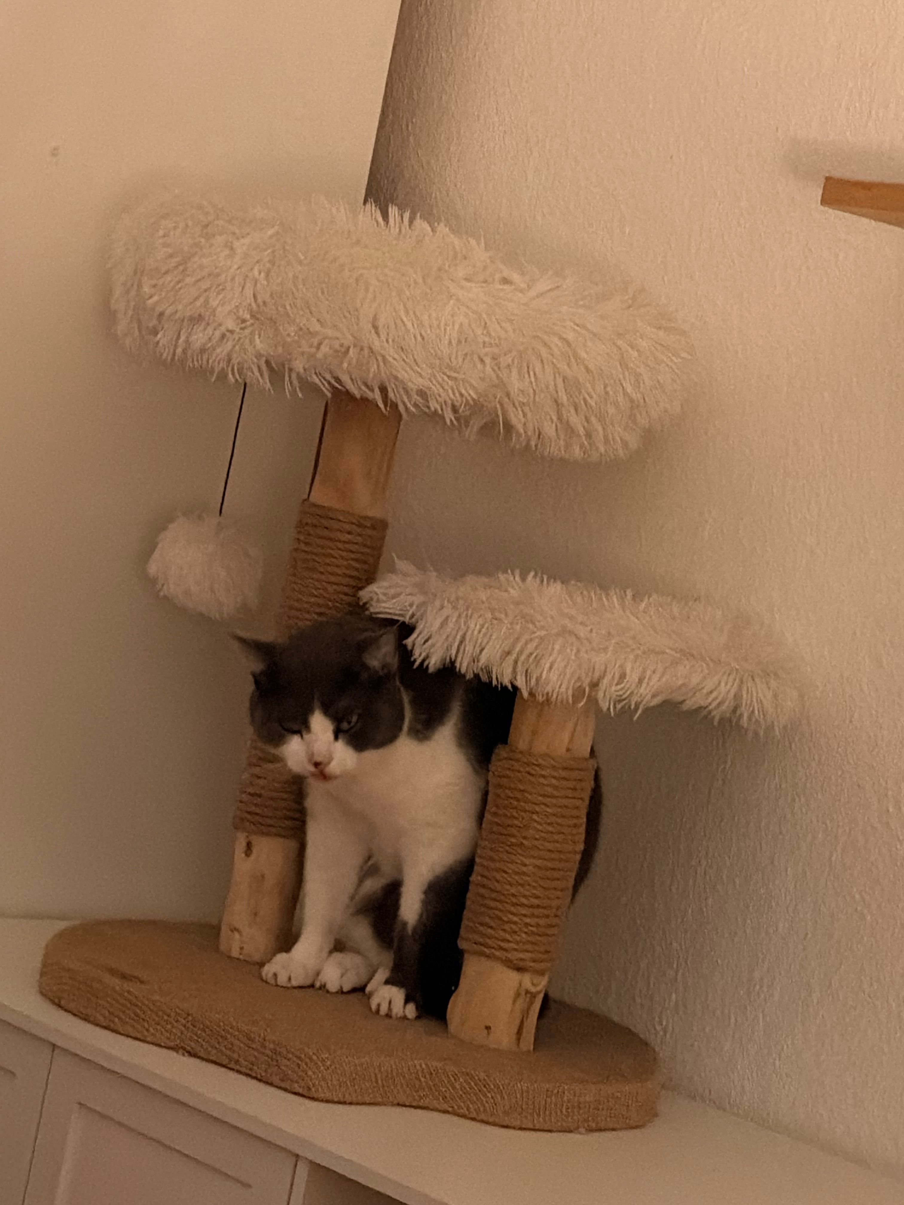image-15