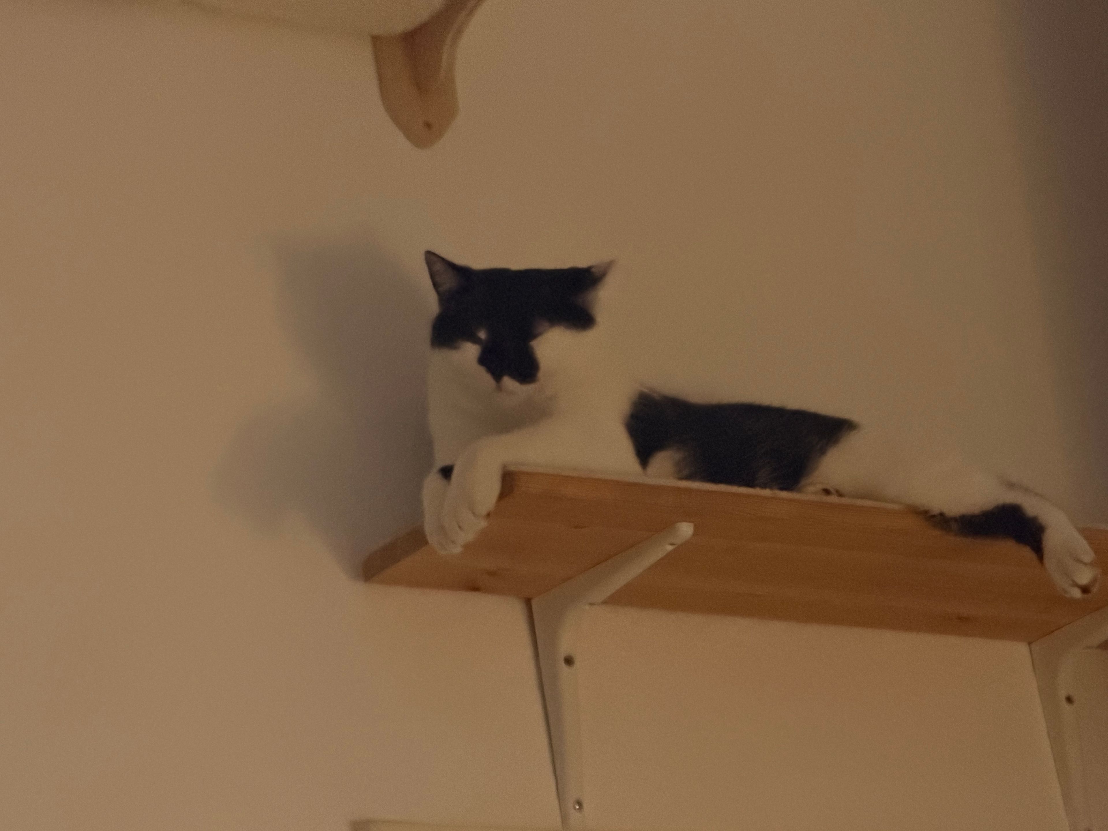 image-12