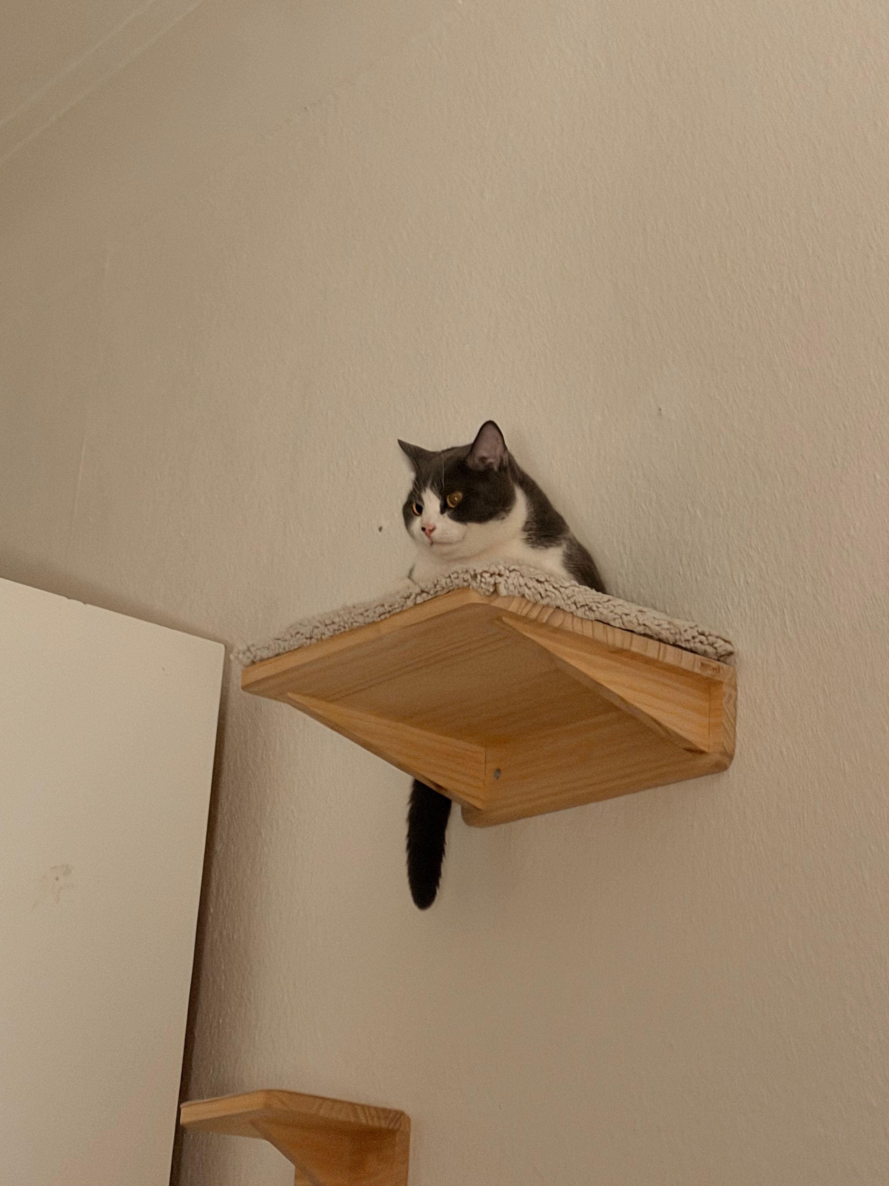 image-13
