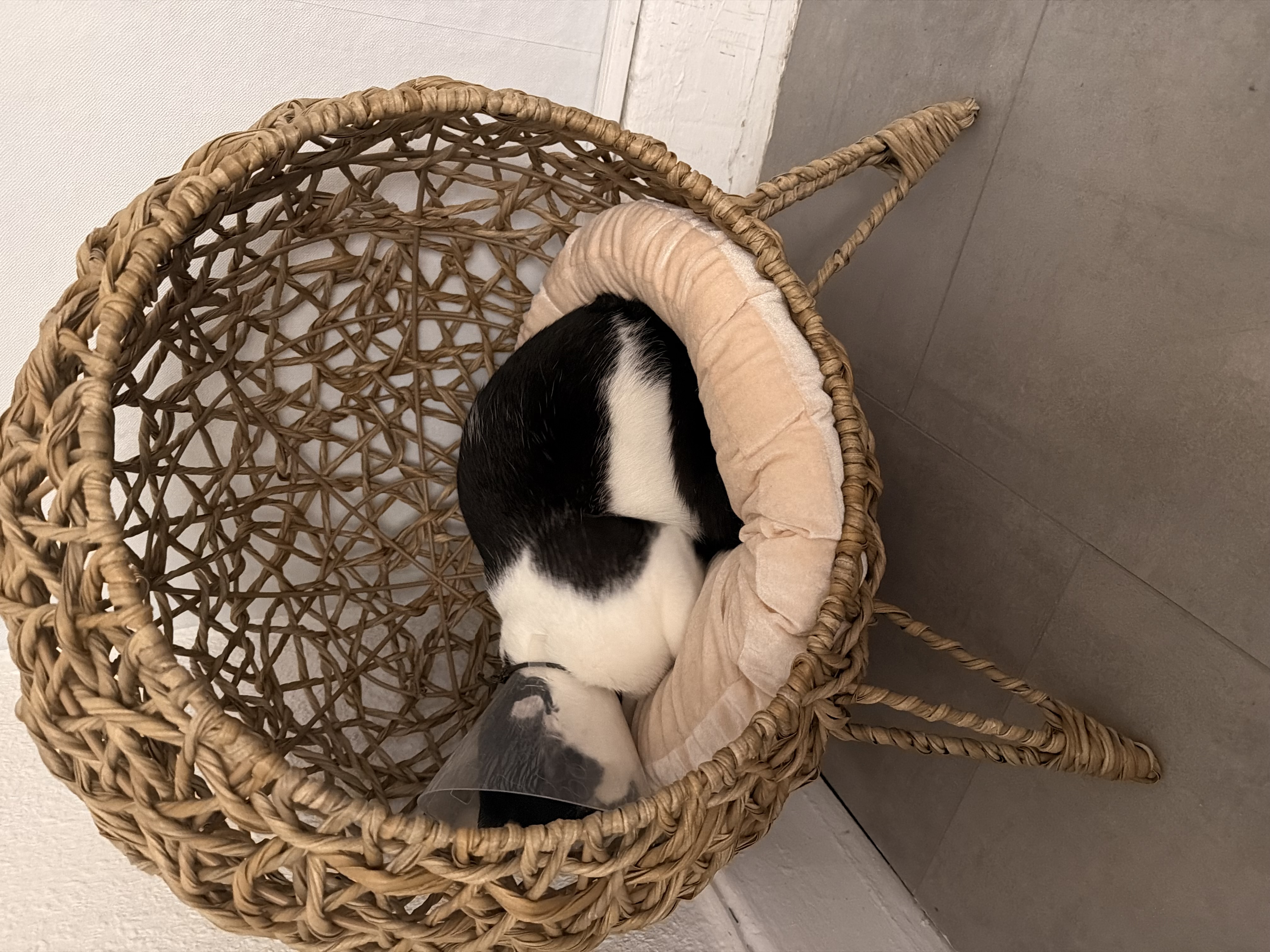 image-11