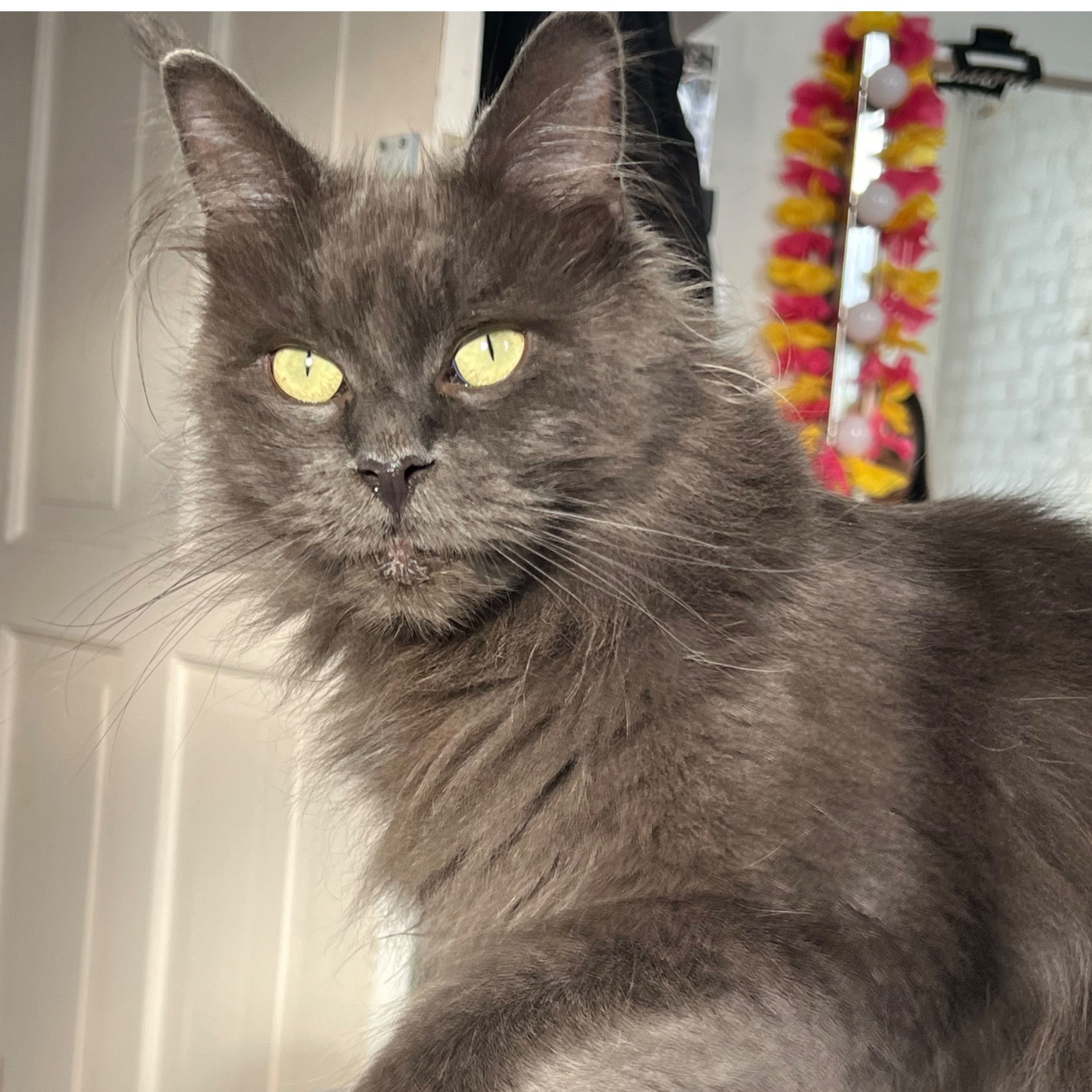 Luna