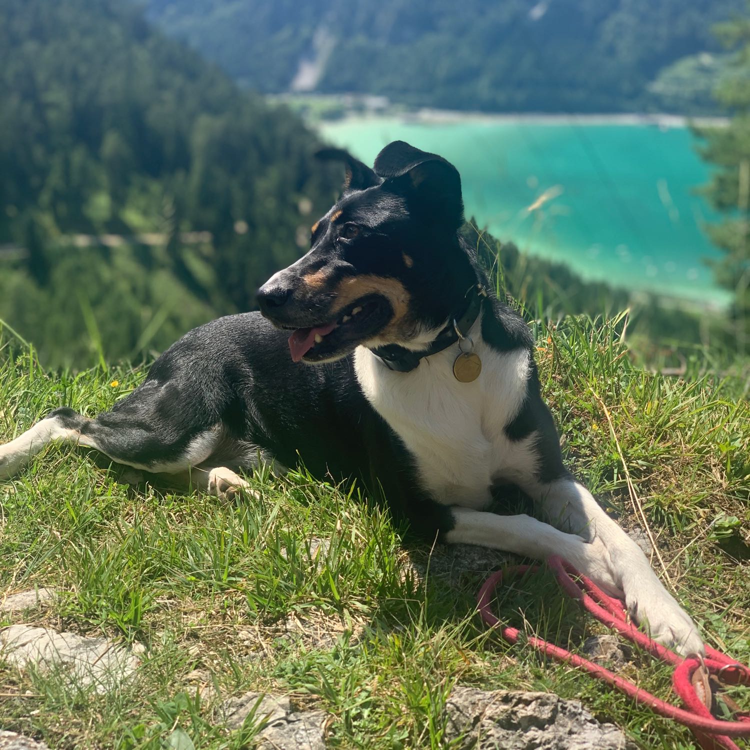 Malgorzata