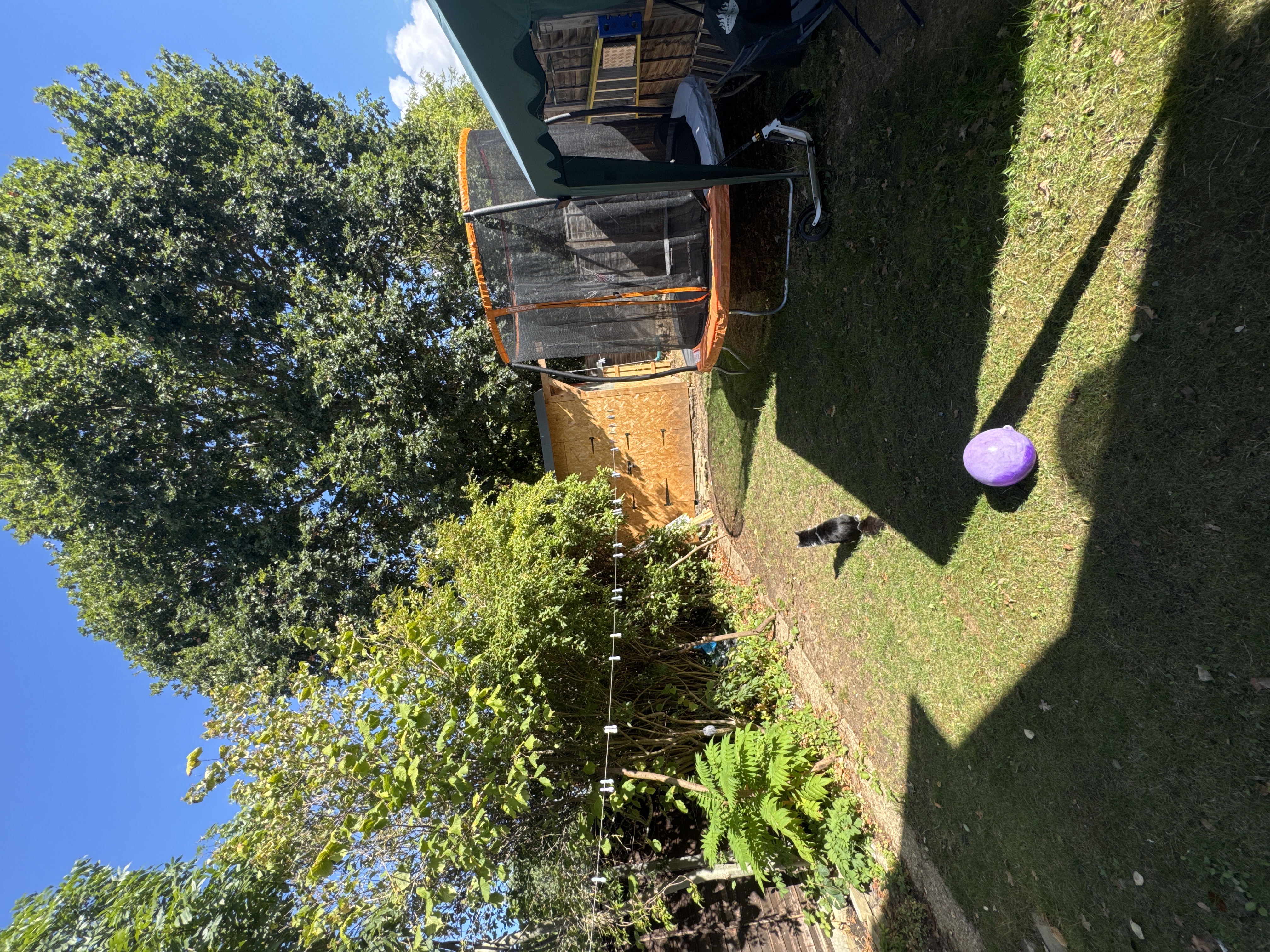 image-18