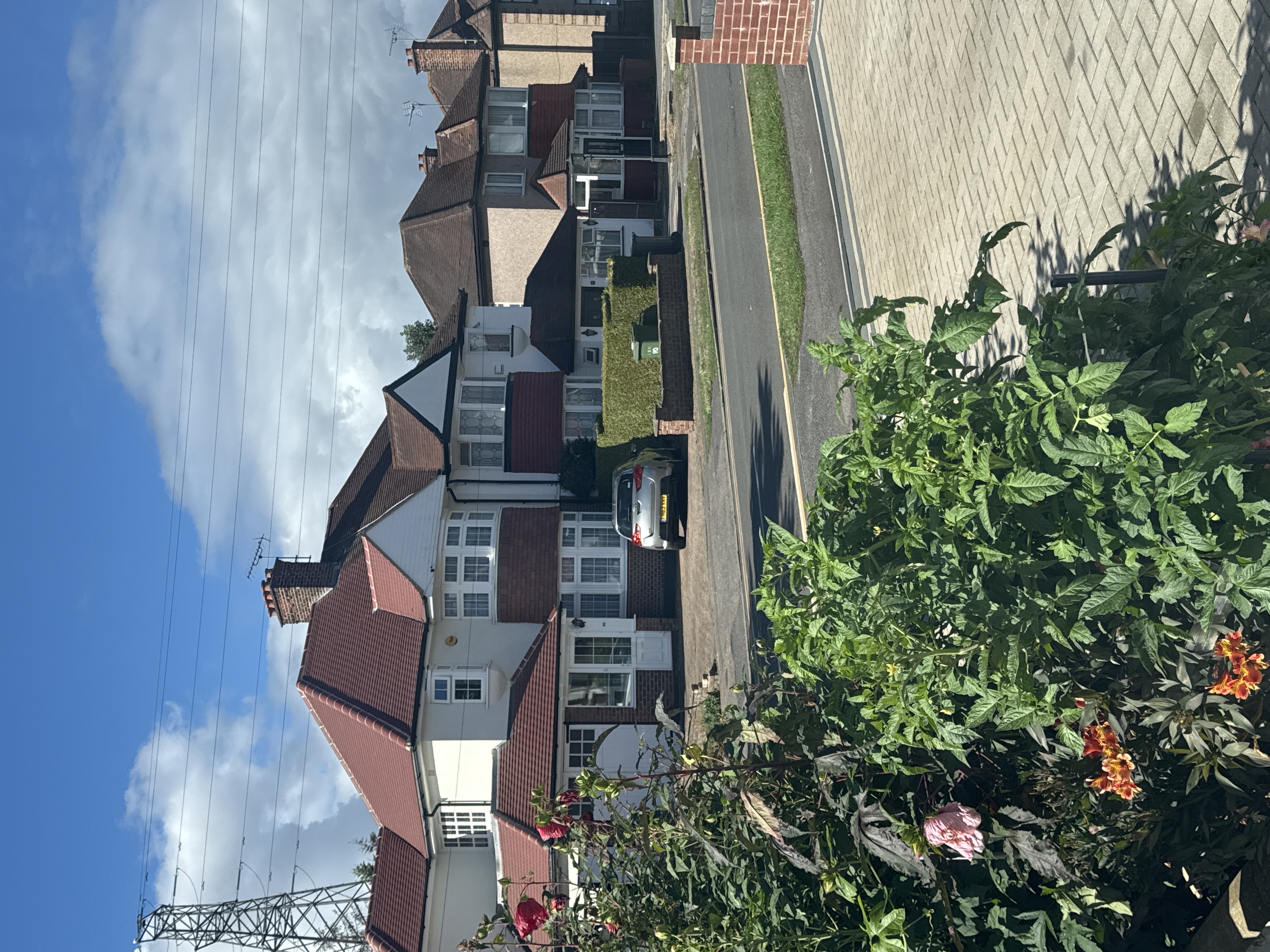 image-19